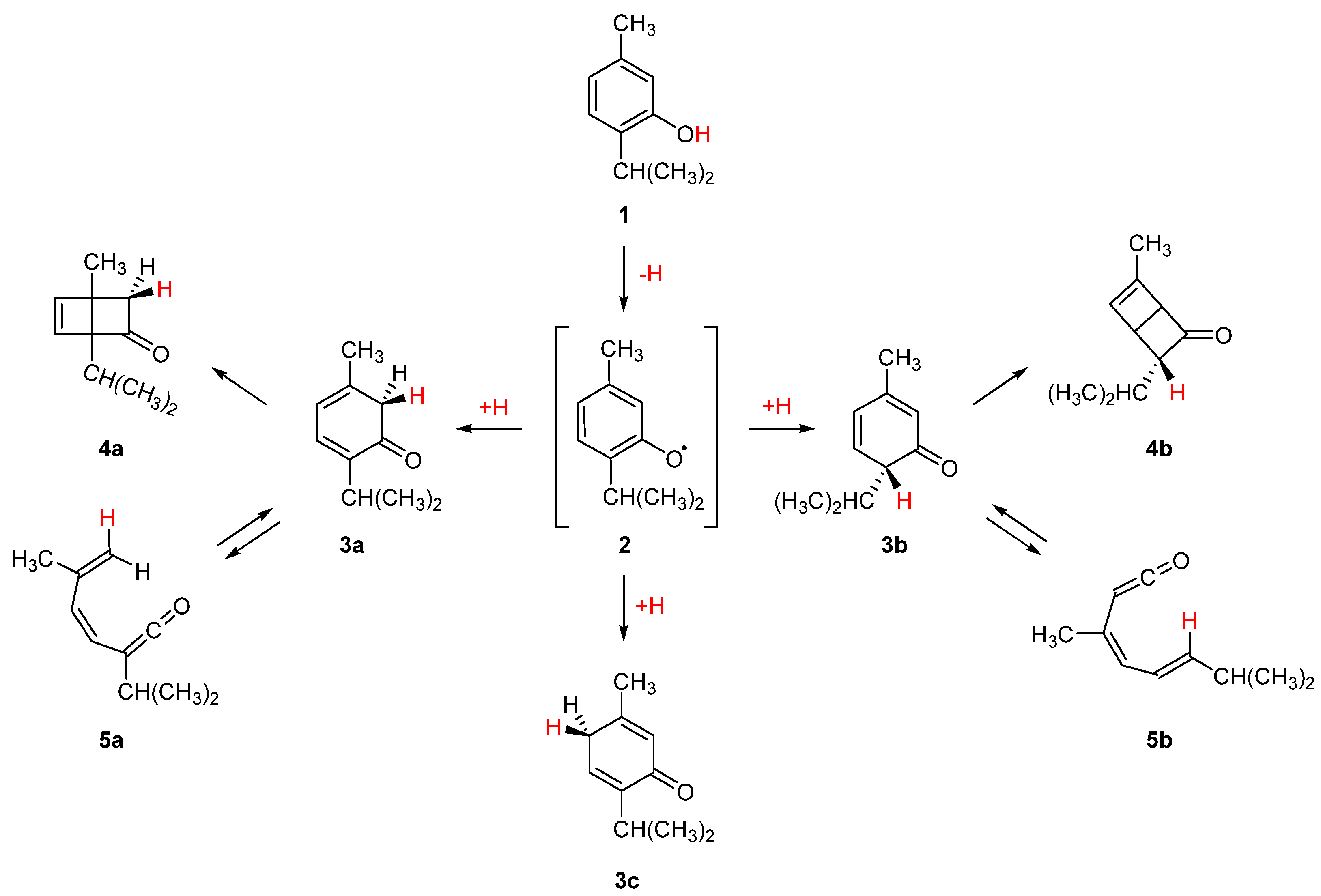 Photochem 02 00028 sch002 Photochem 02 00028 sch002