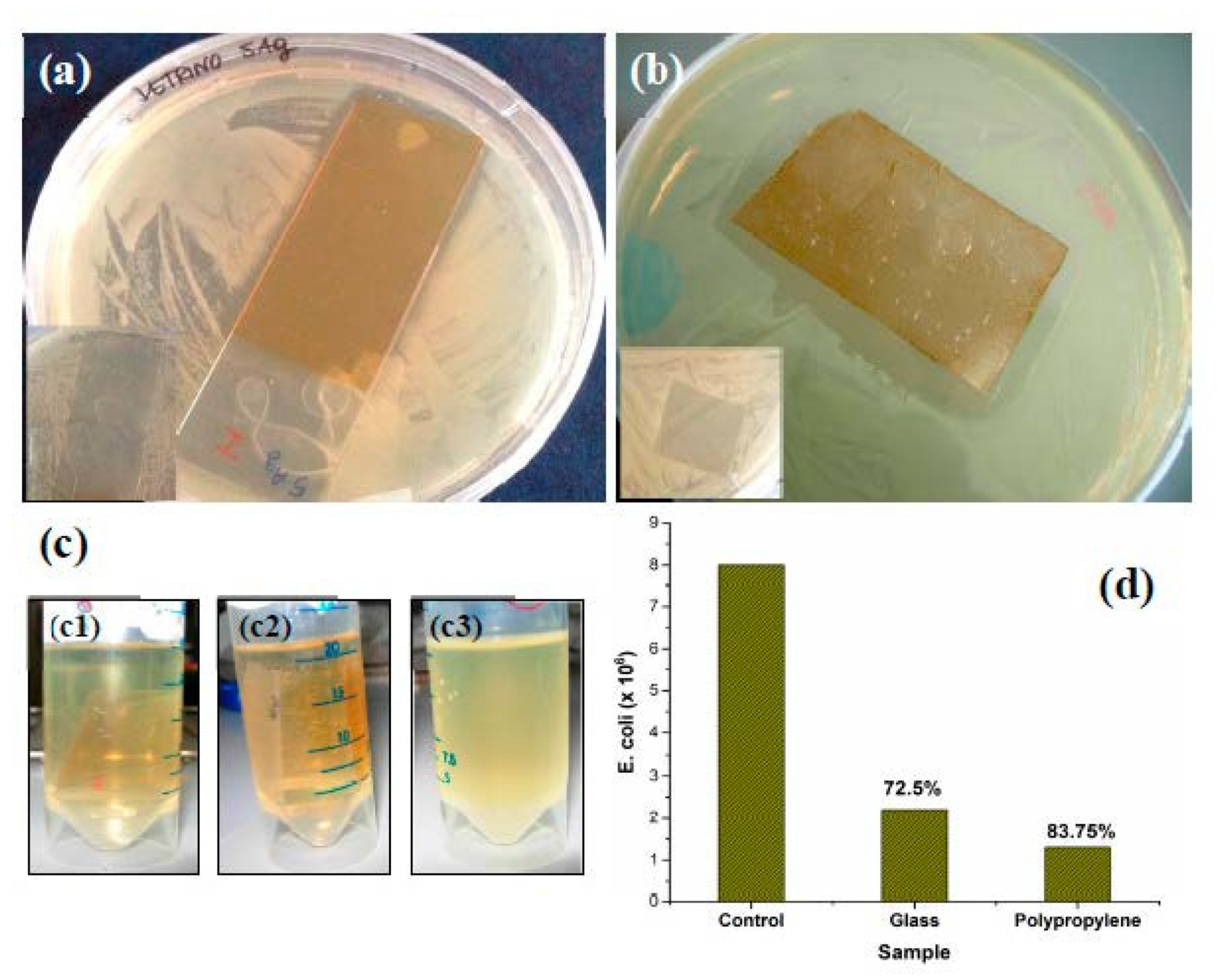 Photochem 02 00033 g006 Photochem 02 00033 g006