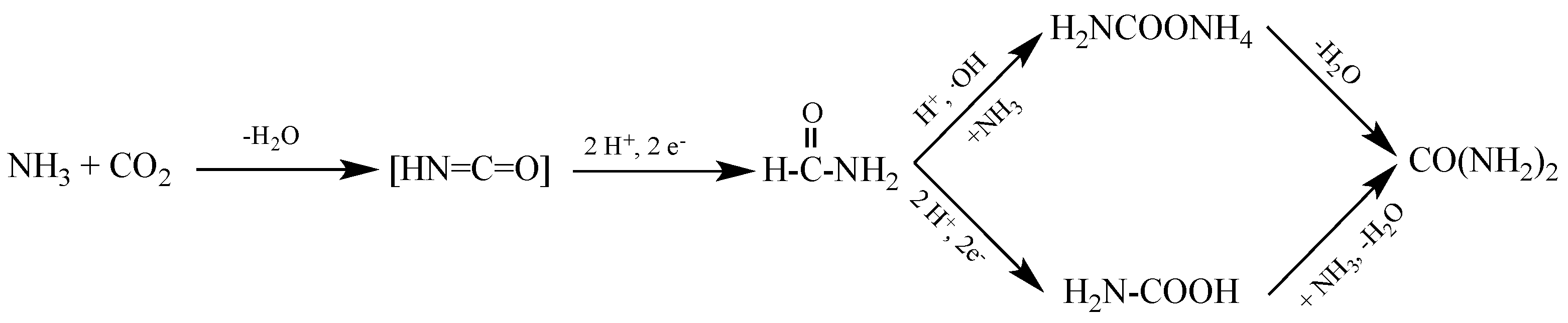 Photochem 02 00038 sch003 Photochem 02 00038 sch003