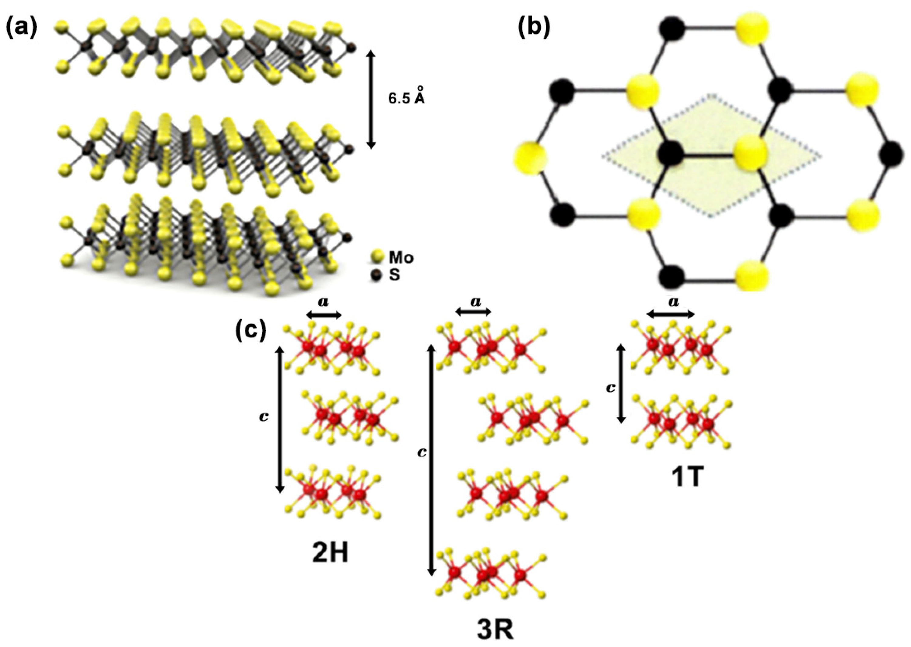 Photochem 02 00042 g002 550