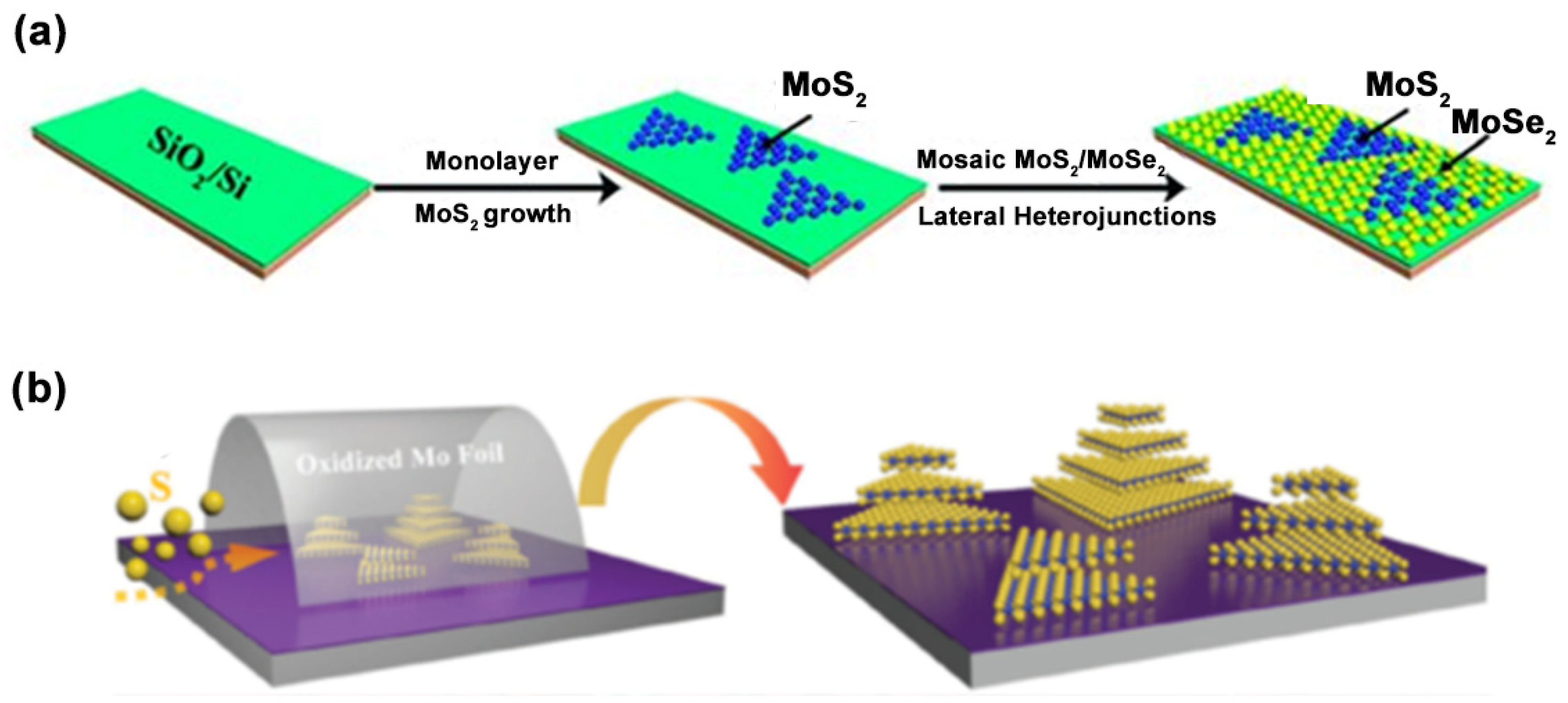 Photochem 02 00042 g007 550