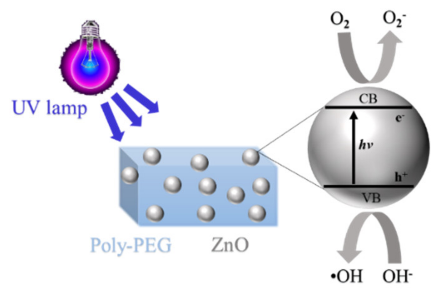Photochem 02 00047 sch002