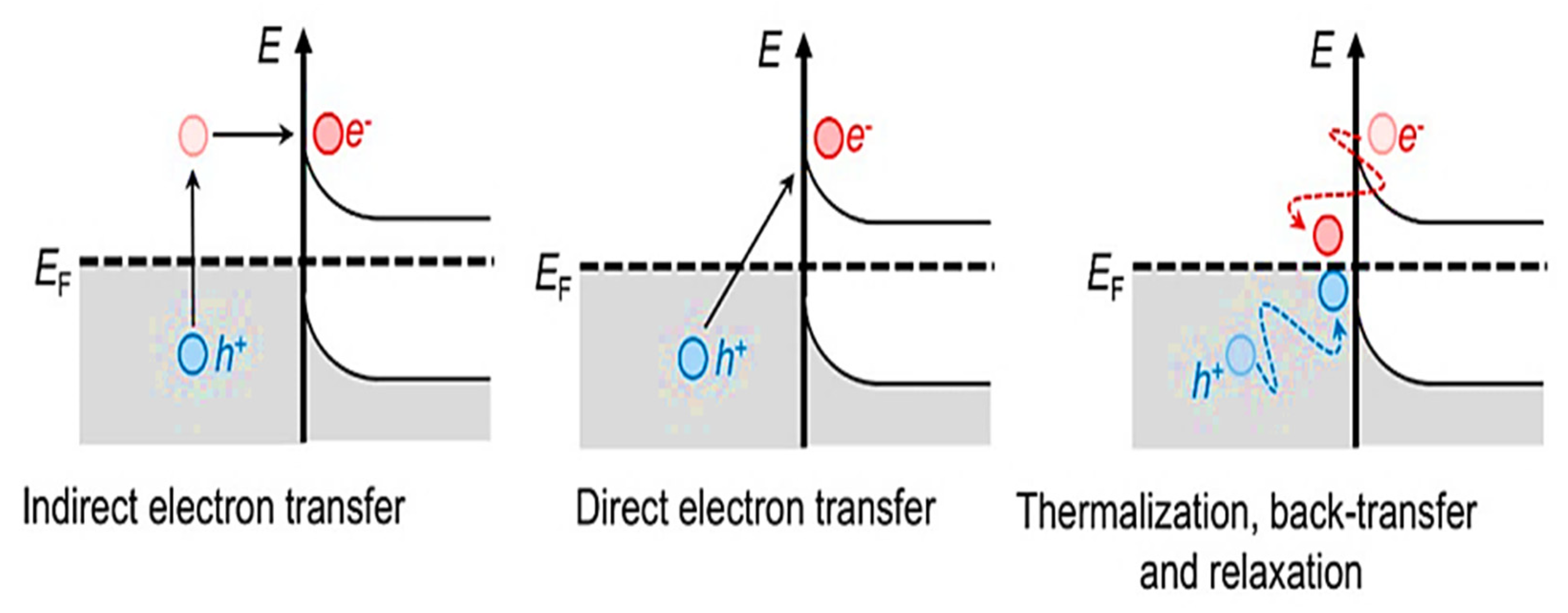 Photochem 02 00052 g003 Photochem 02 00052 g003