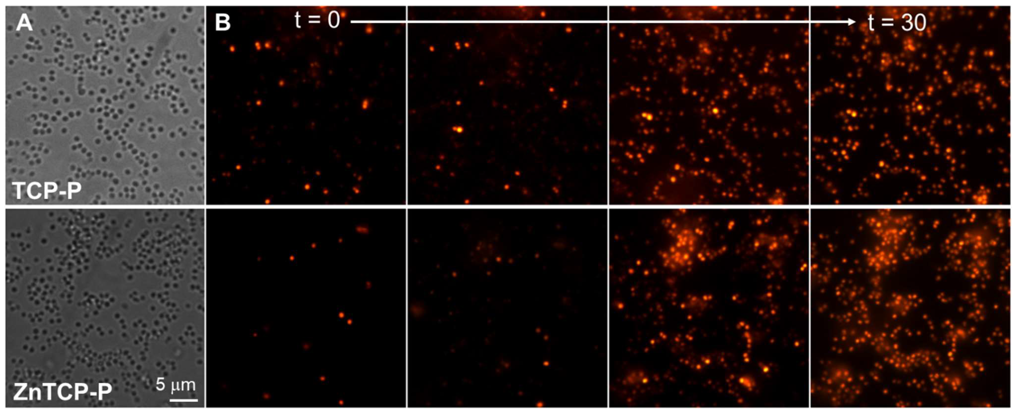 Photochem 02 00057 g006 Photochem 02 00057 g006
