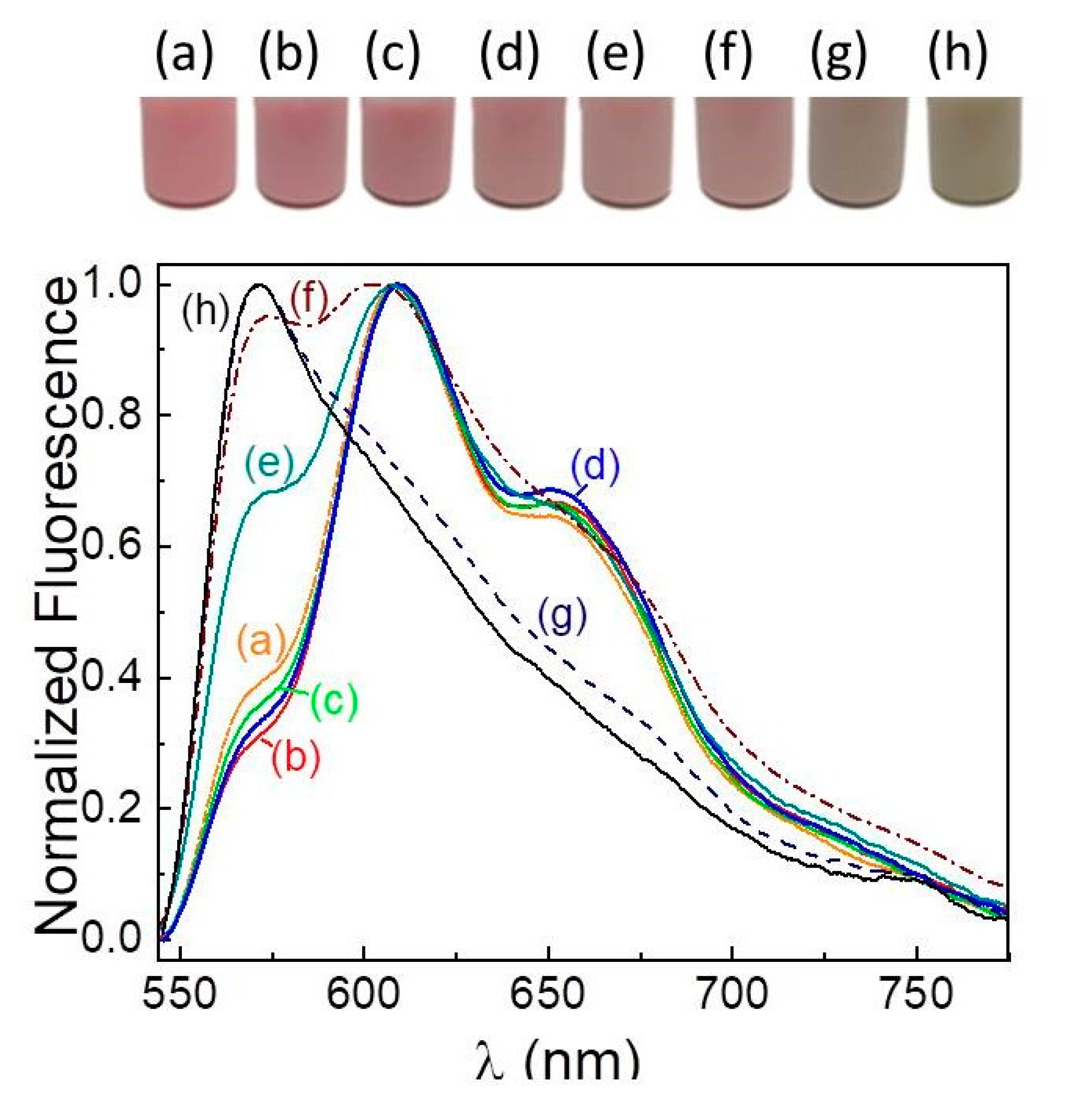 Photochem 03 00001 g008 Photochem 03 00001 g008
