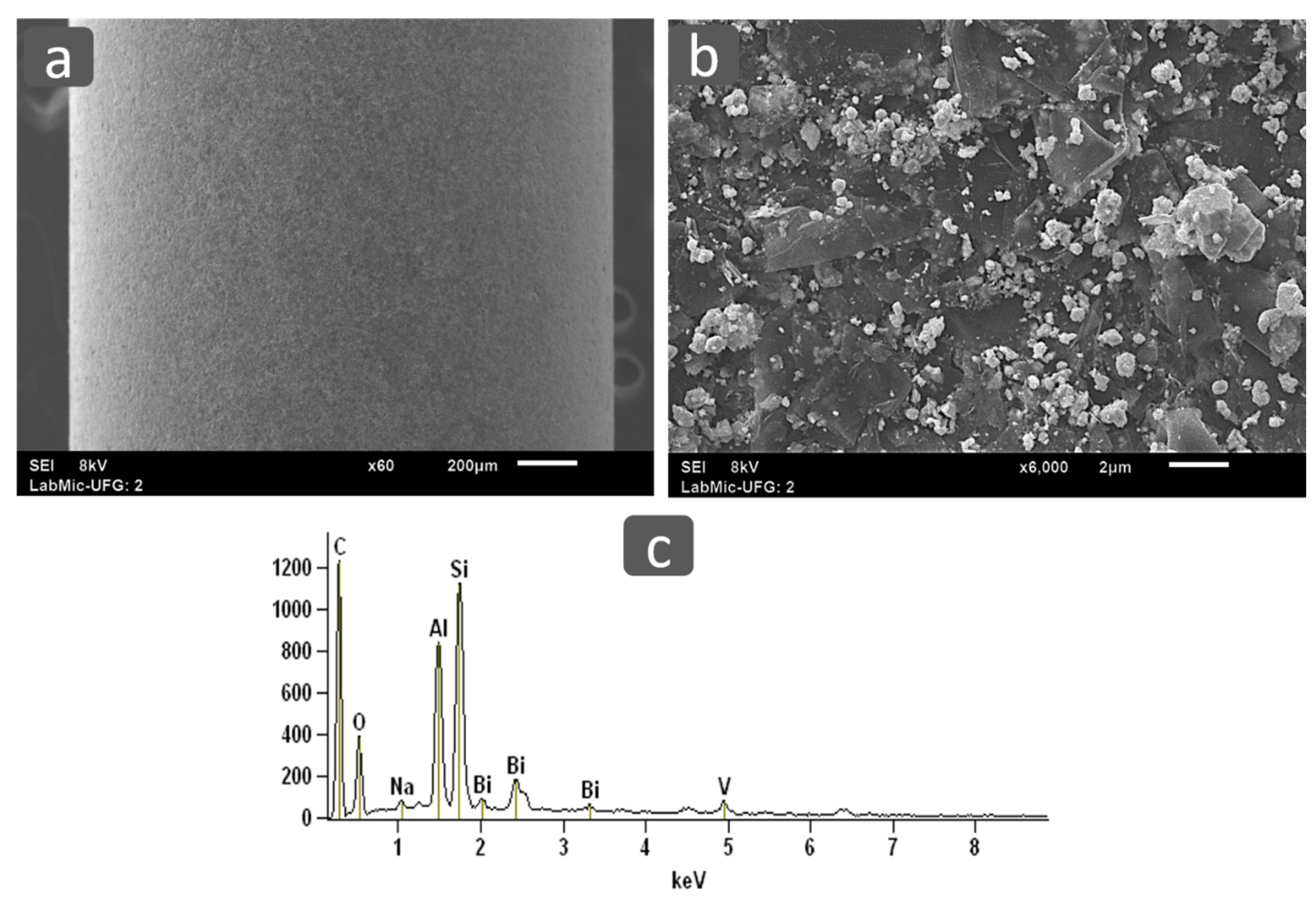 Photochem 03 00003 g004