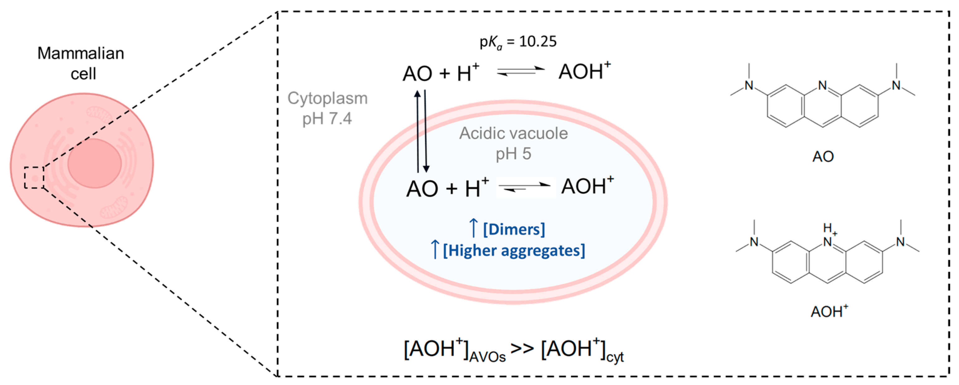 Photochem 03 00014 g001