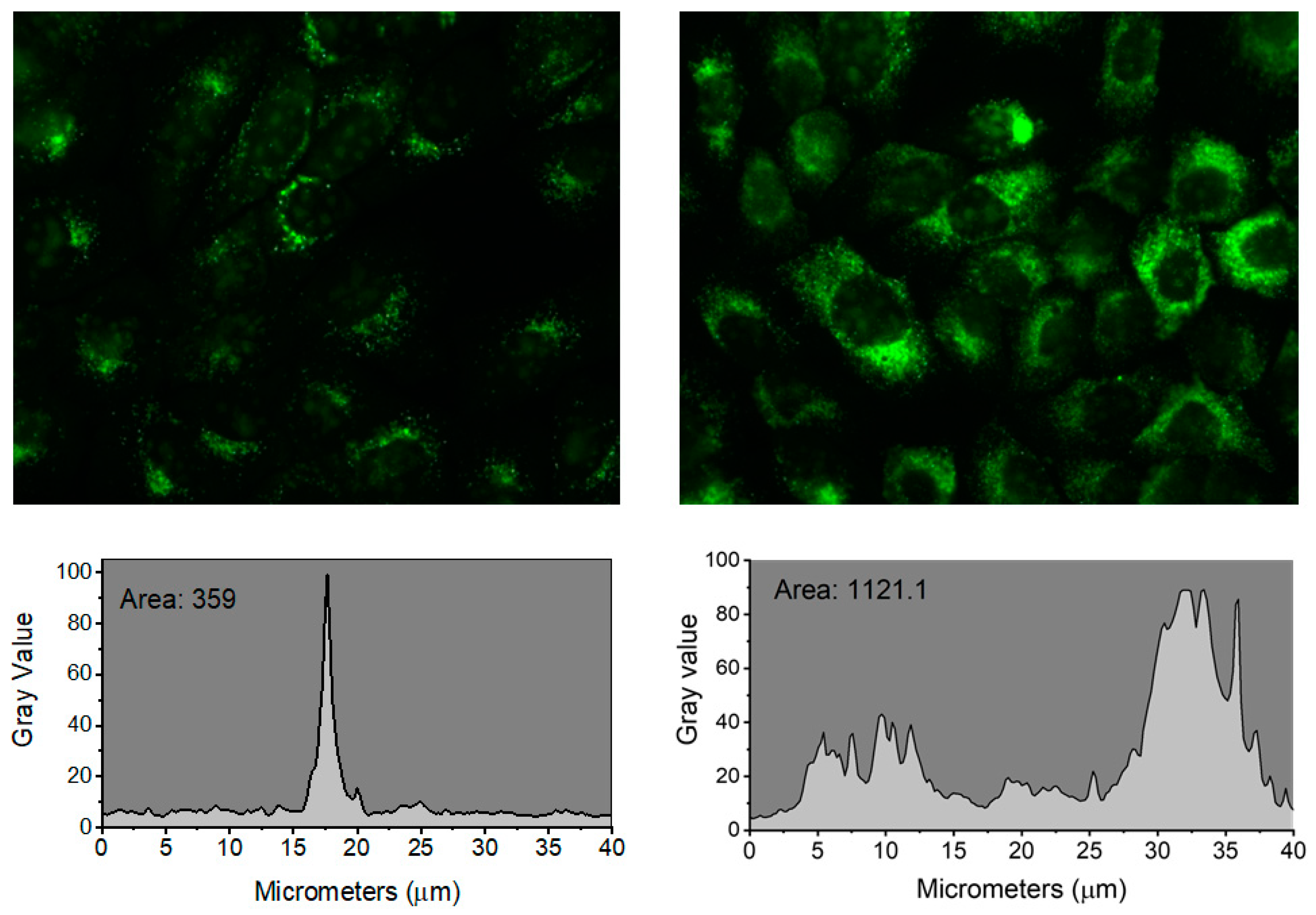 Photochem 03 00014 g004