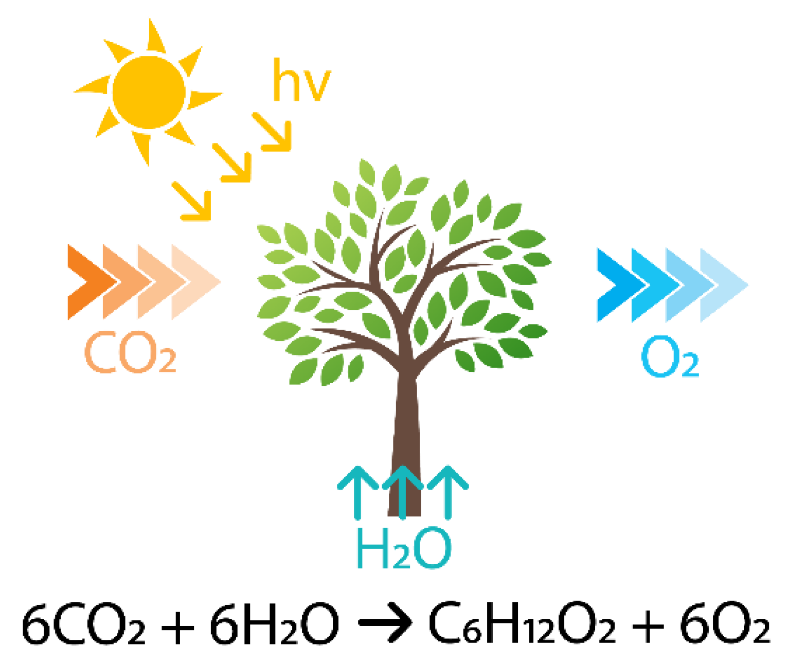 Photochem 03 00015 g002