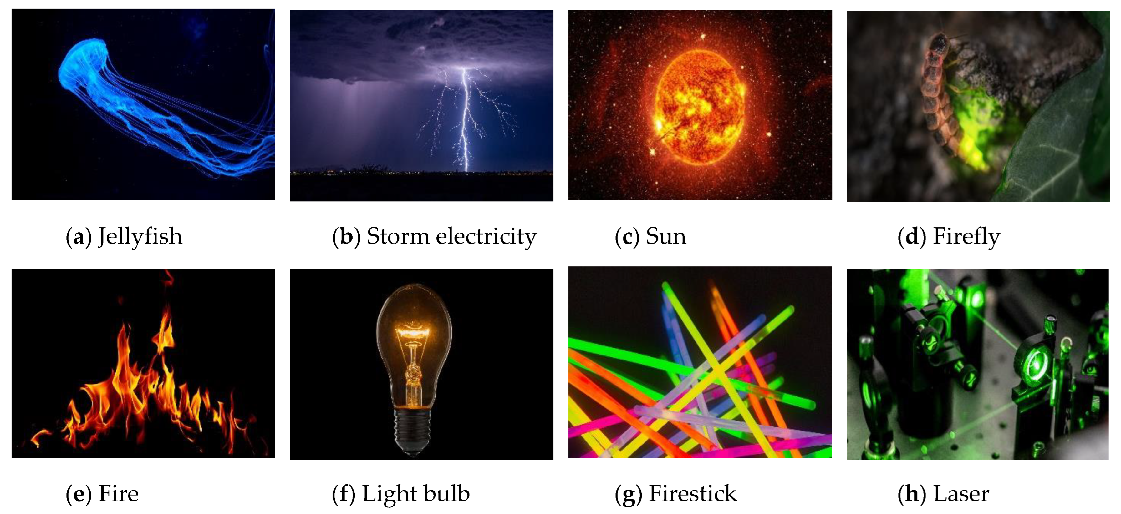 Photochem 03 00015 g004