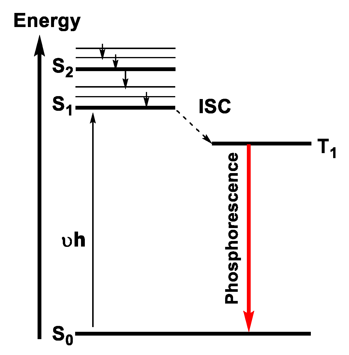 Photochem 03 00015 g017