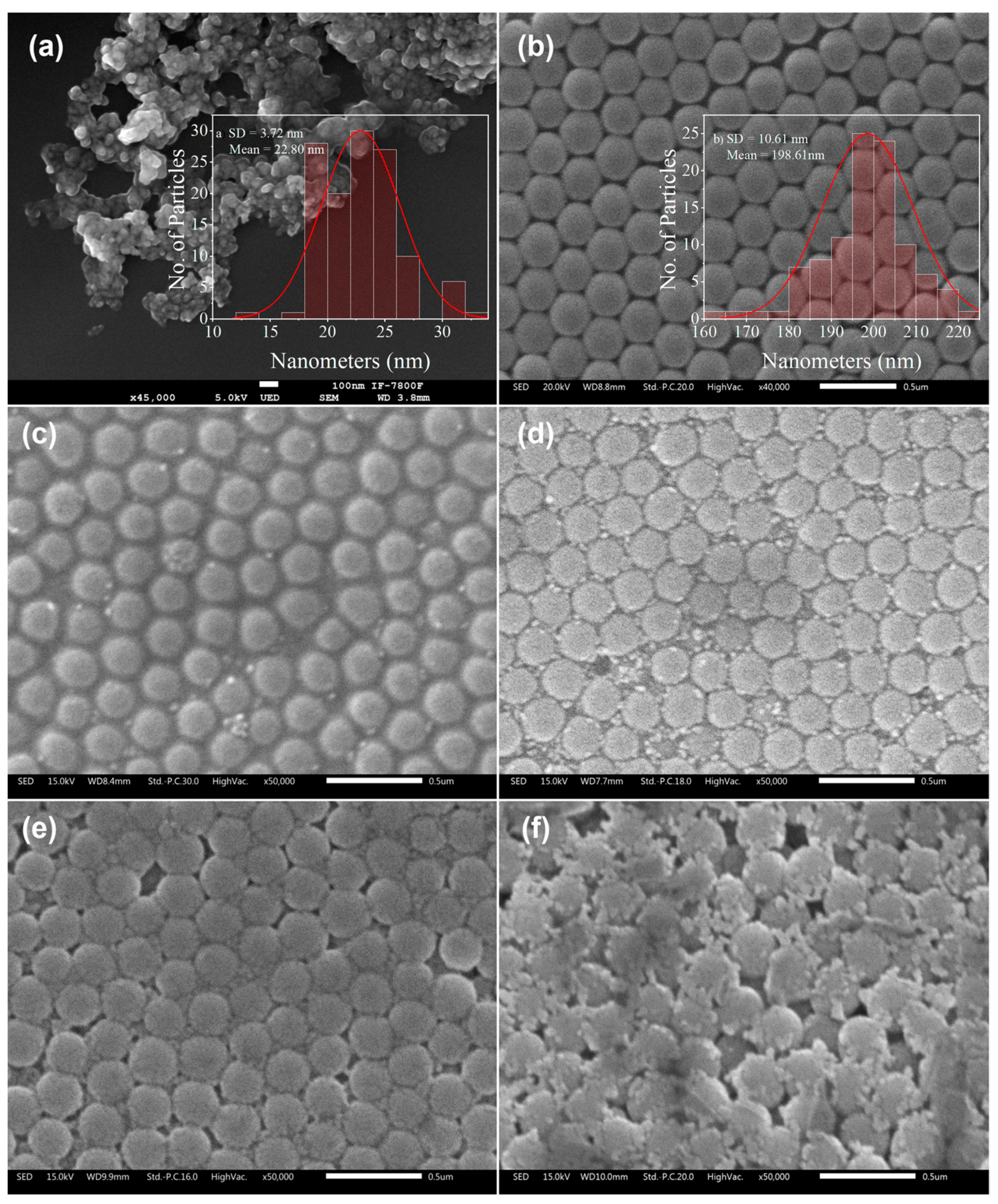 Photochem 03 00024 g002