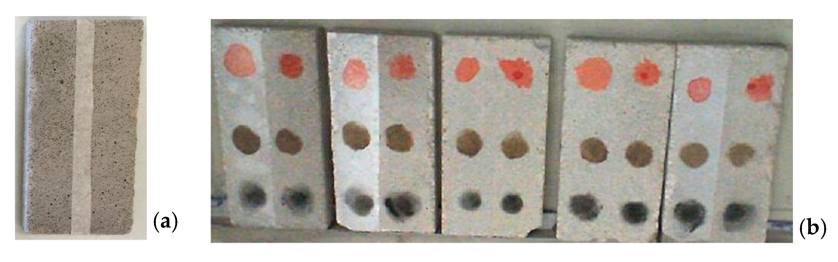 Photochem 03 00028 g001