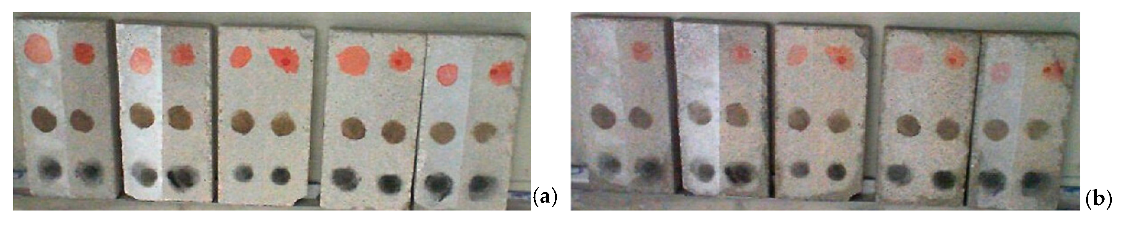 Photochem 03 00028 g005