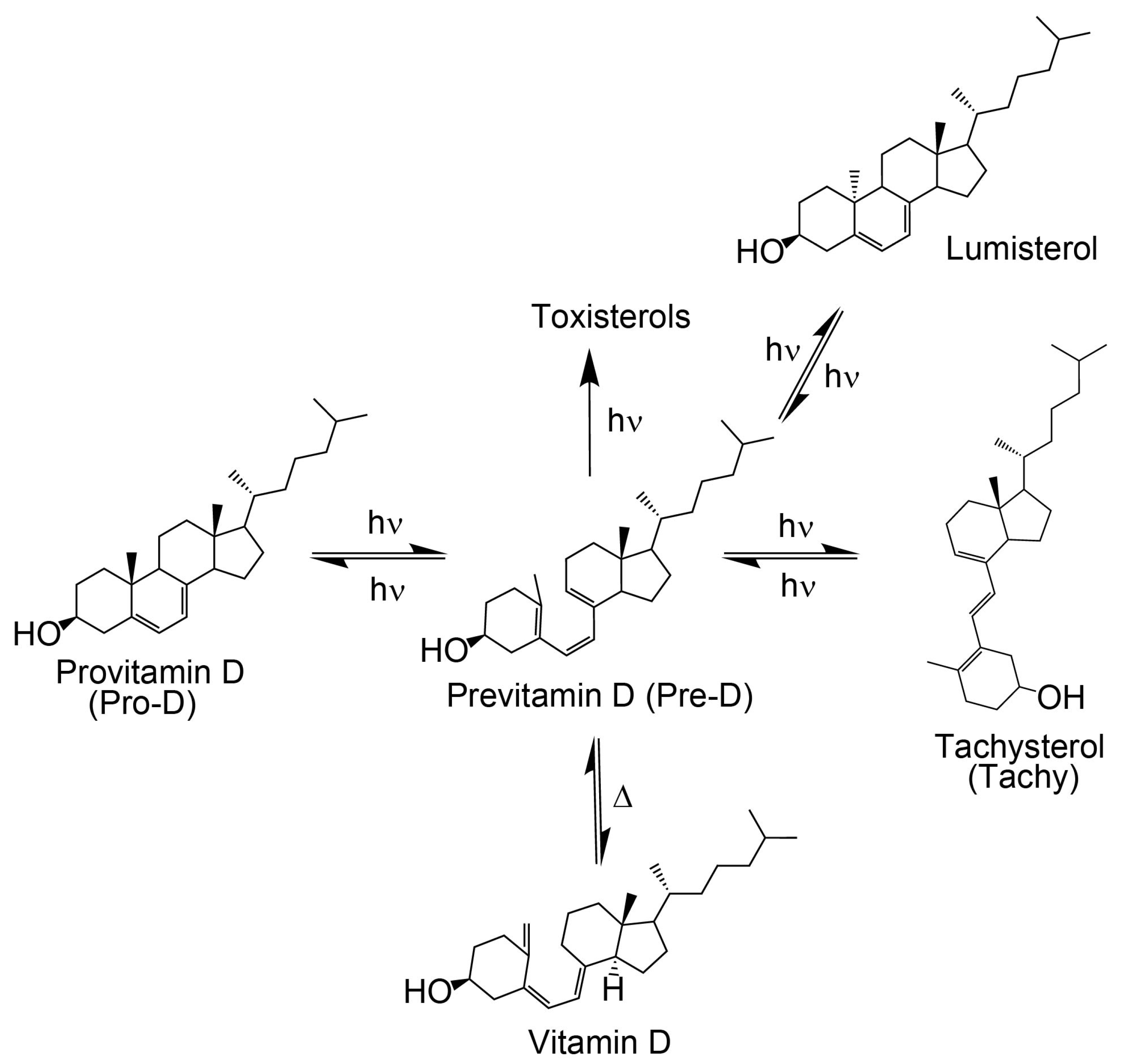 Photochem 03 00029 g001