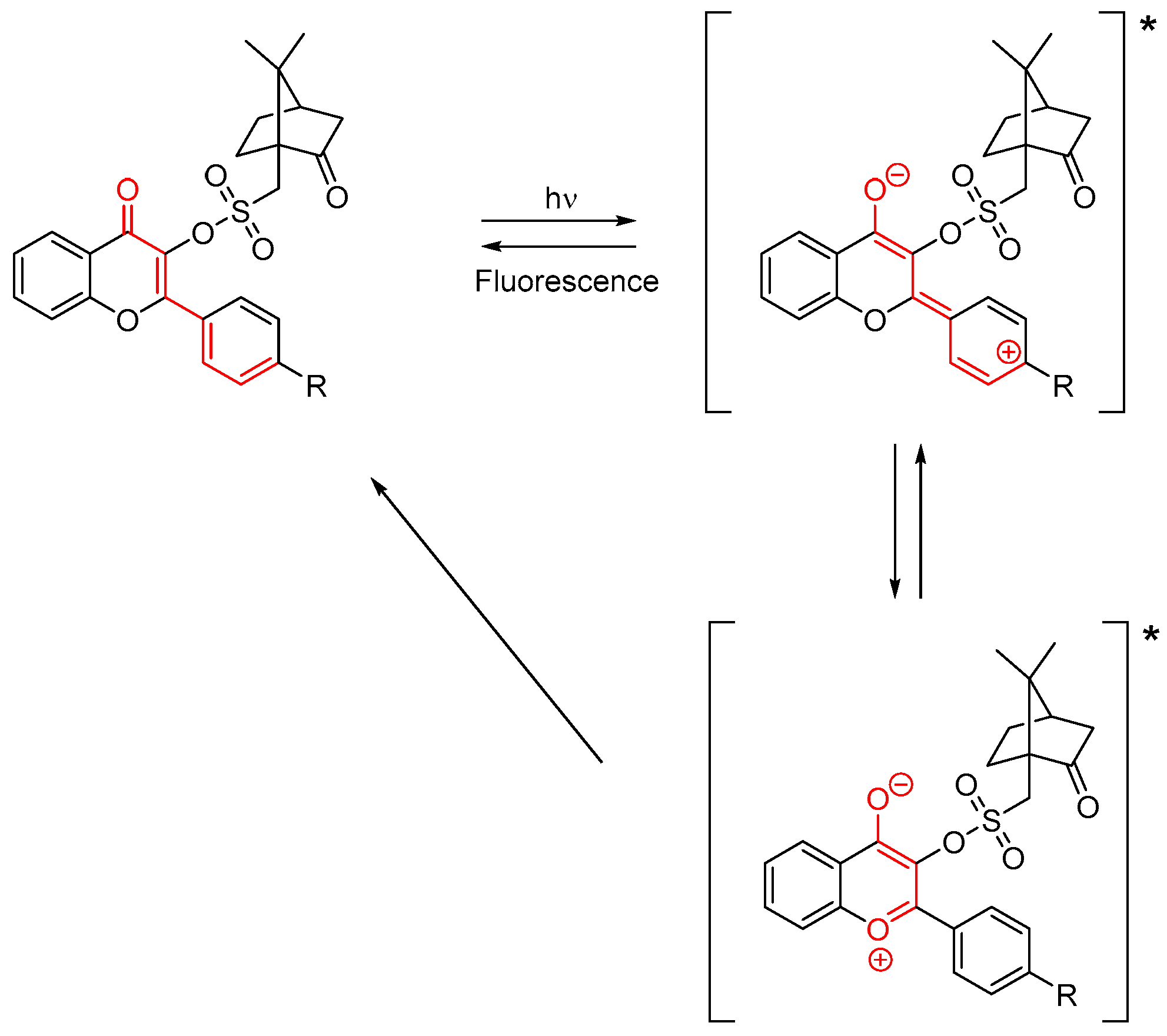 Photochem 03 00030 sch002