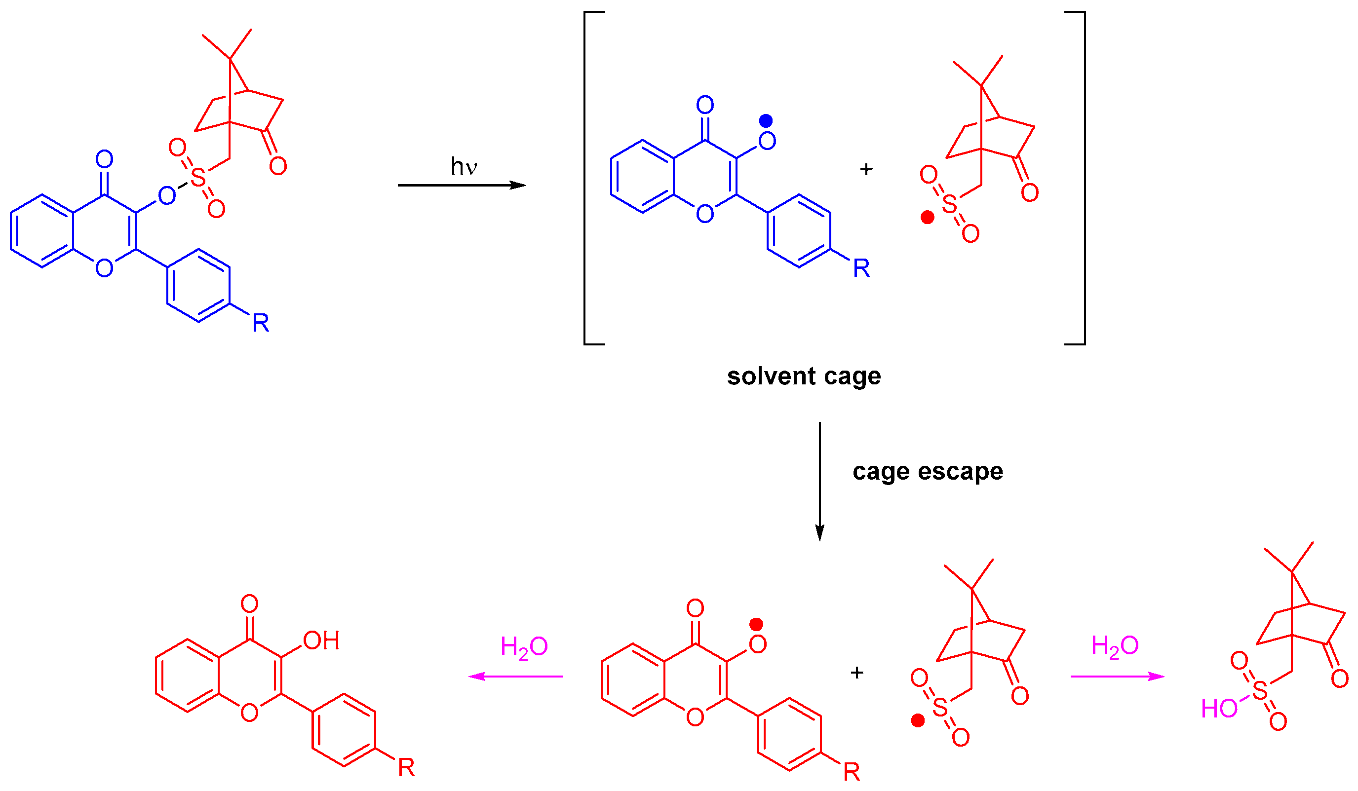 Photochem 03 00030 sch003