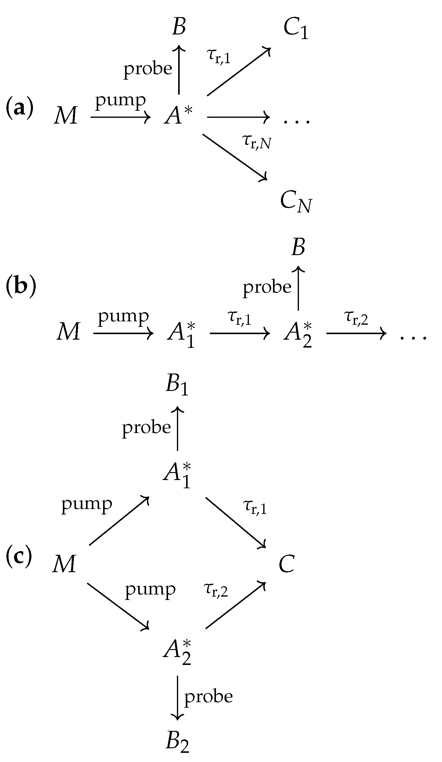 Photochem 04 00005 g004