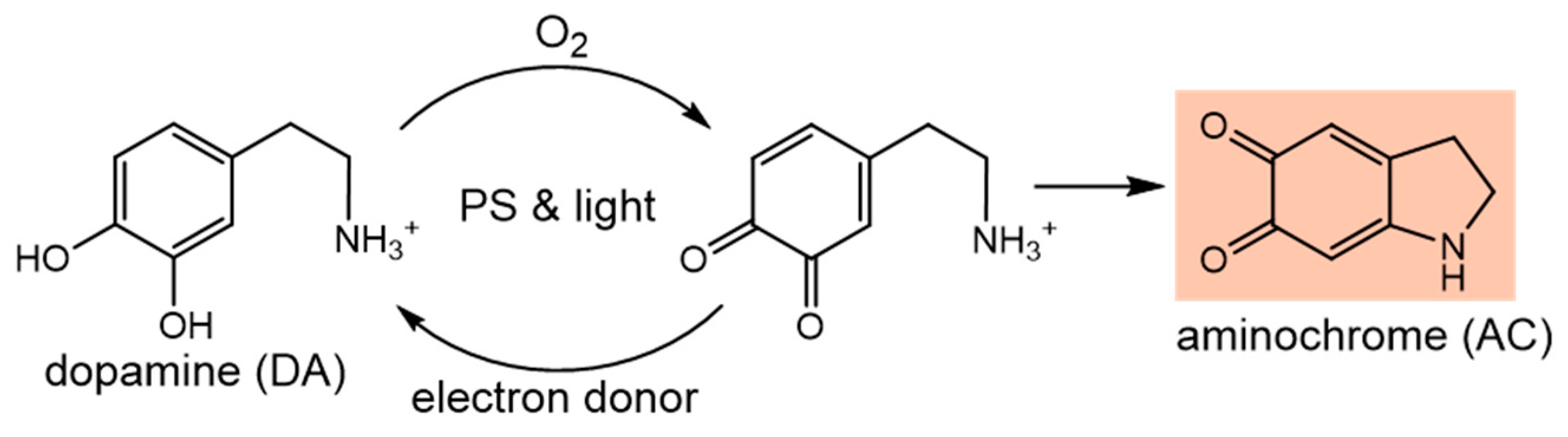 Photochem 04 00021 sch001