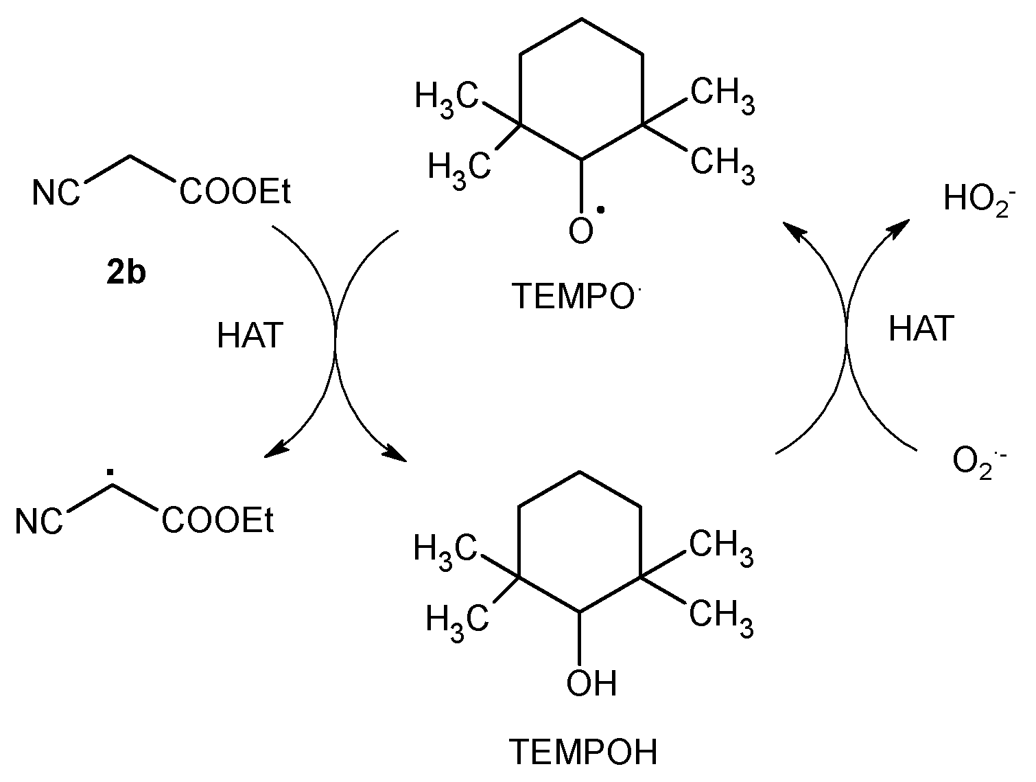 Photochem 04 00022 sch003