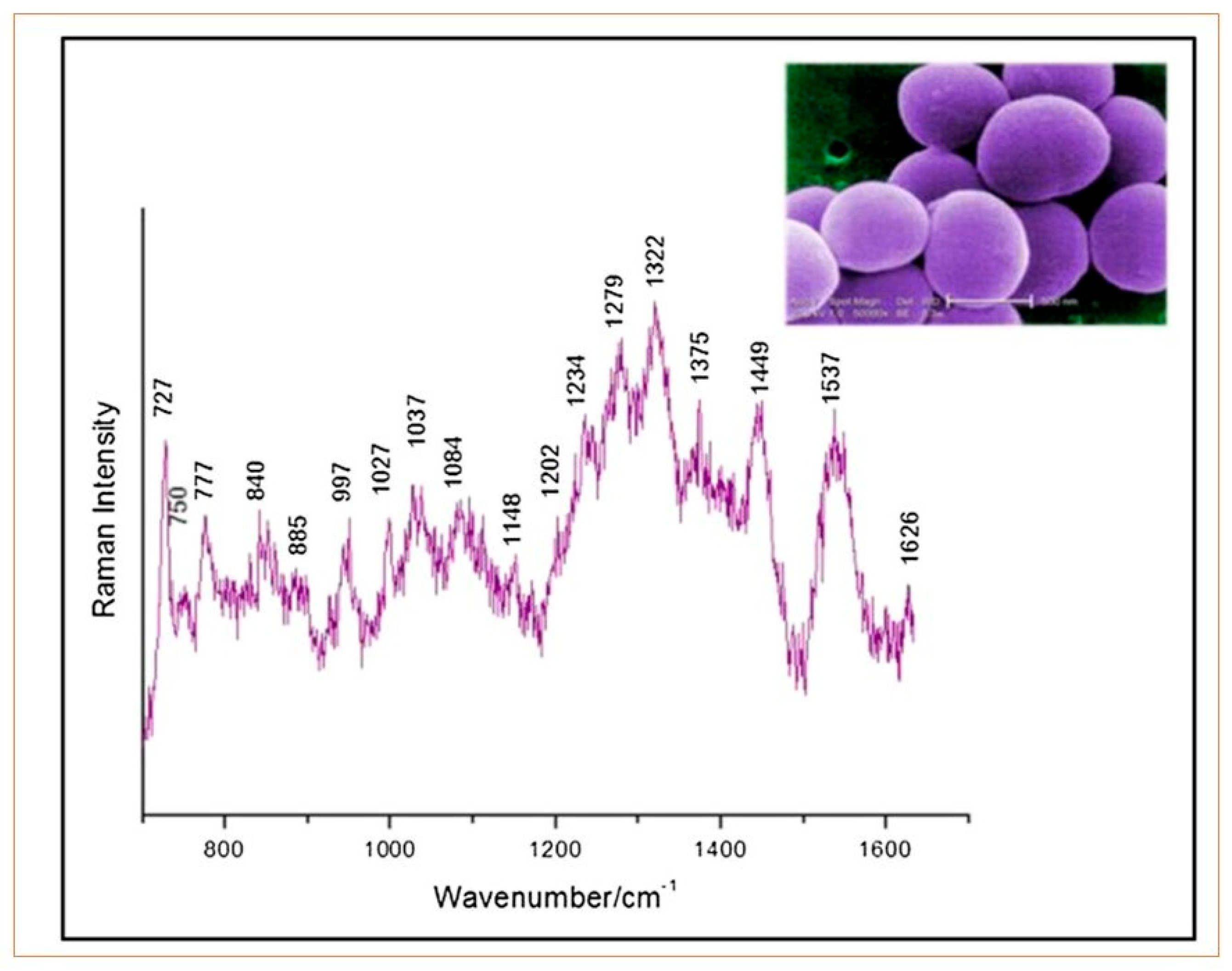 Photochem 04 00026 g003