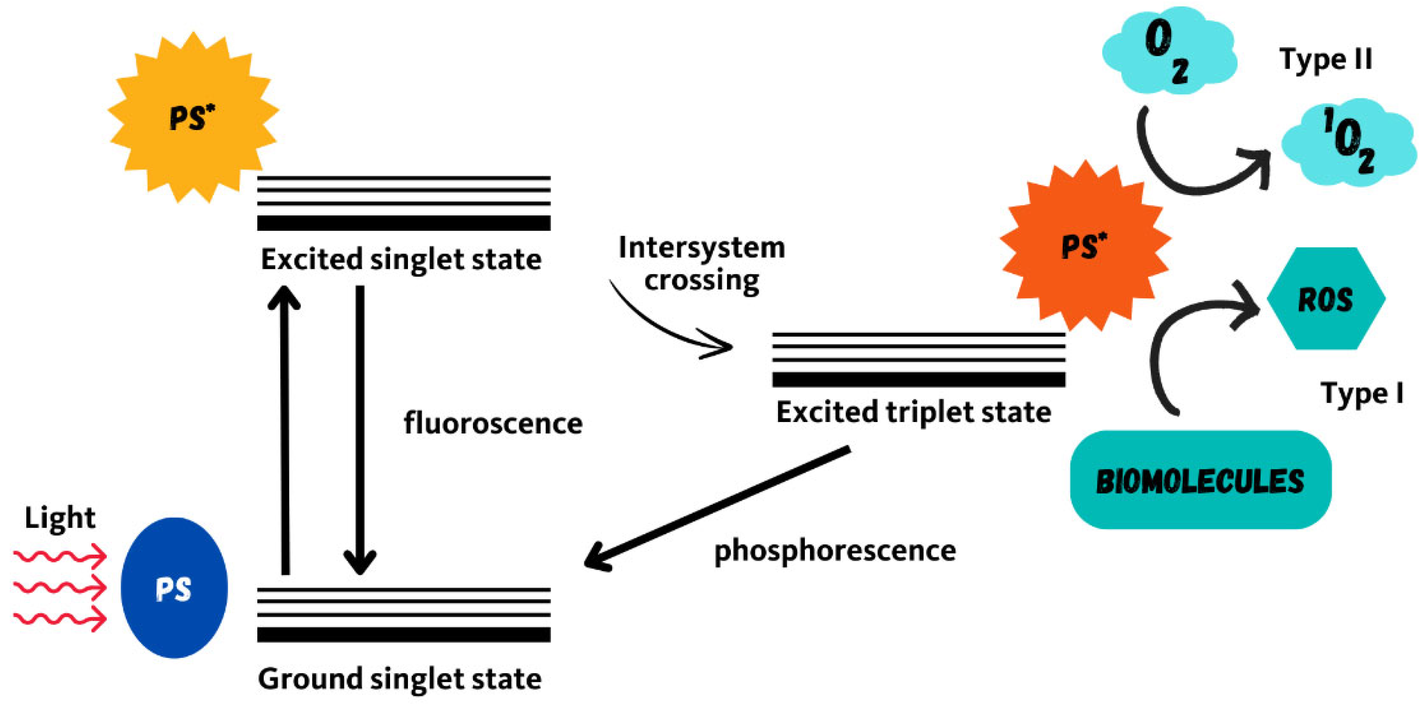 Photochem 04 00027 g002