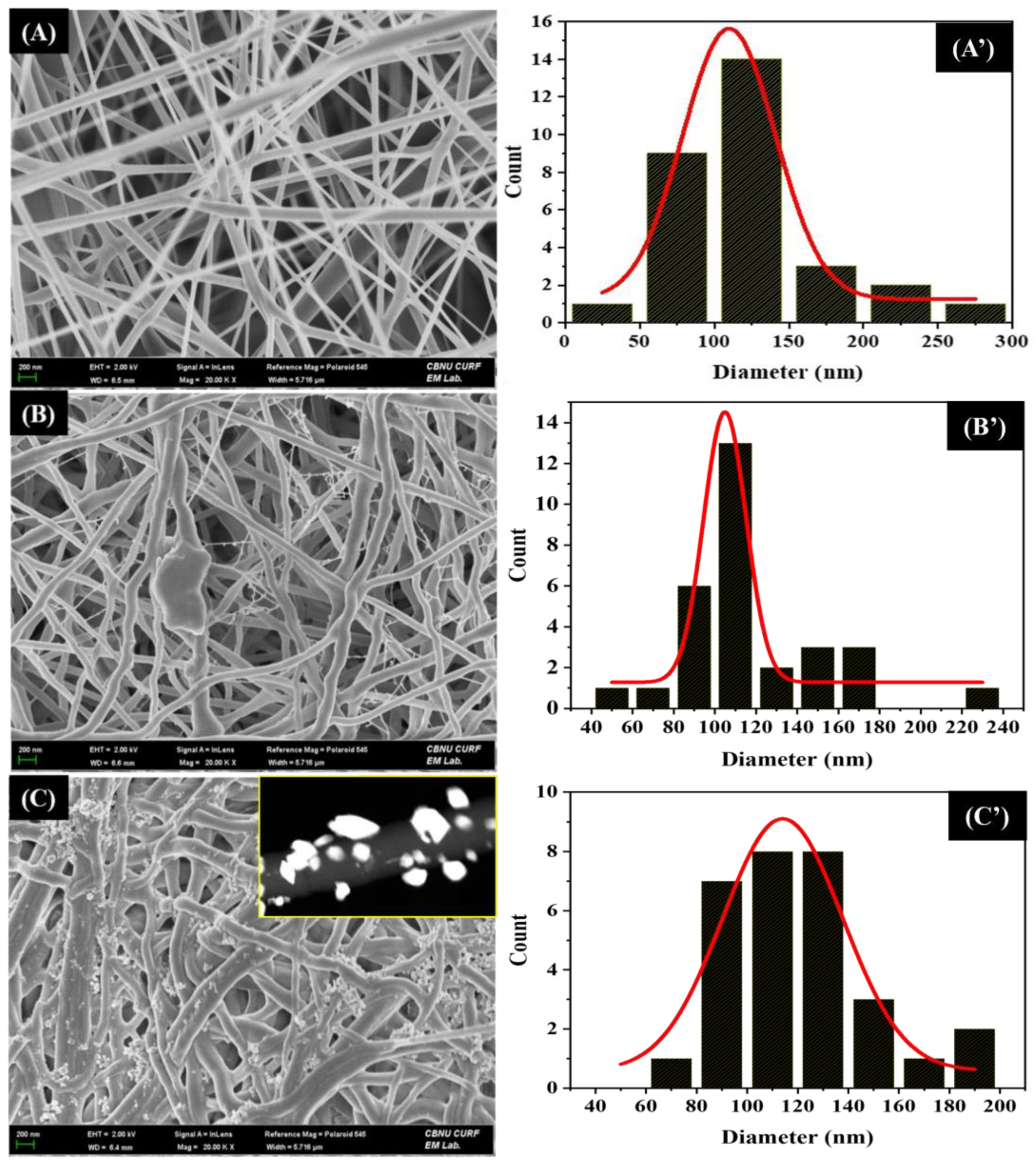 Photochem 05 00006 g002