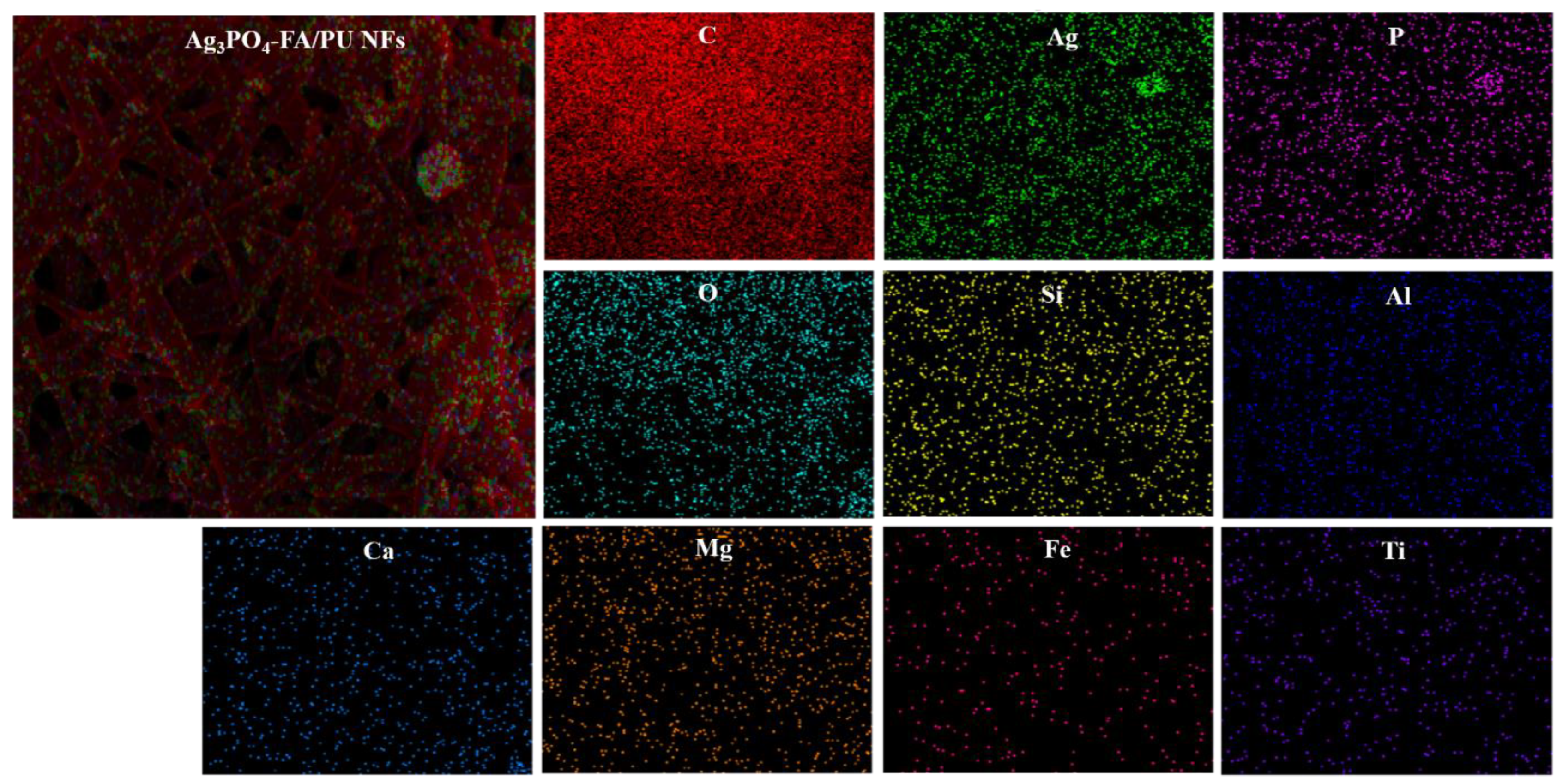 Photochem 05 00006 g003