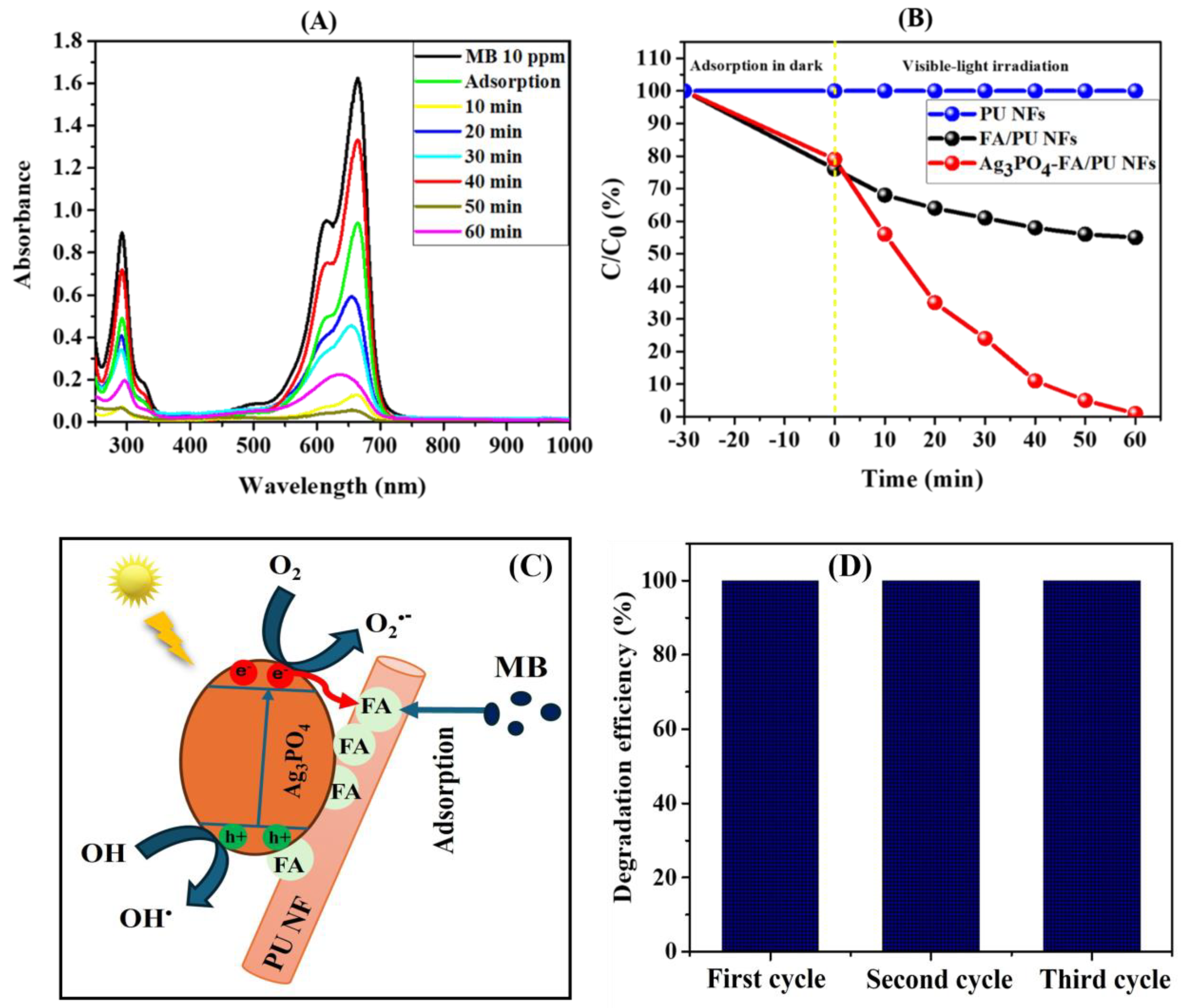 Photochem 05 00006 g005