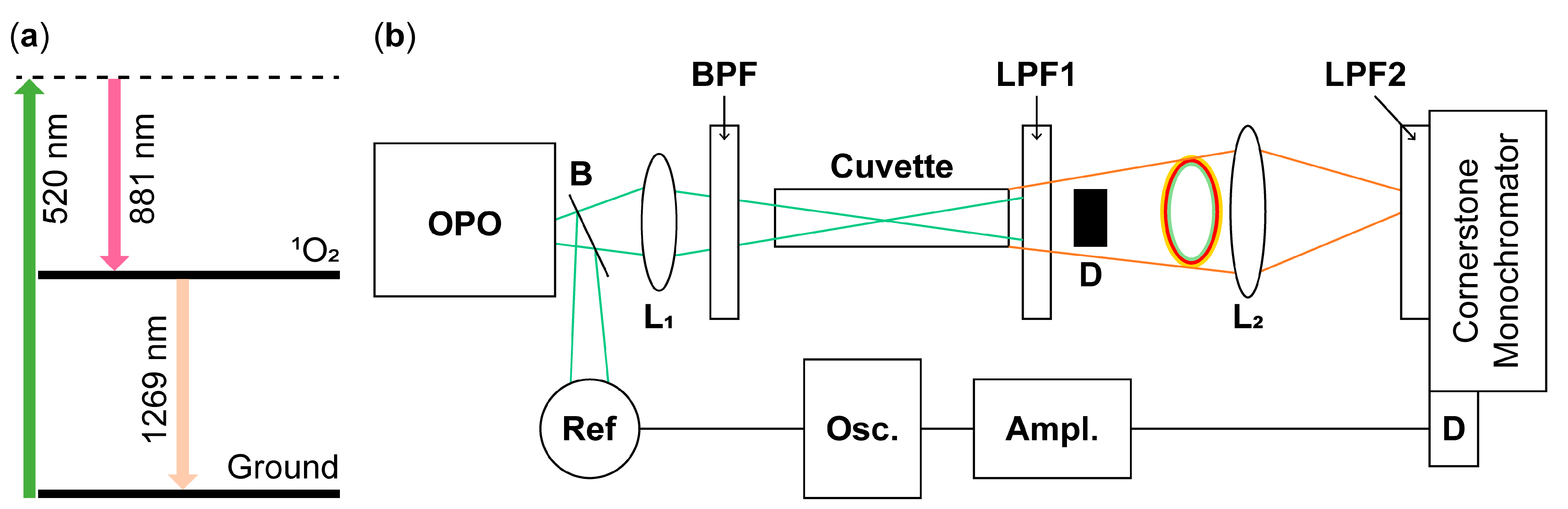 Photochem 05 00007 g001