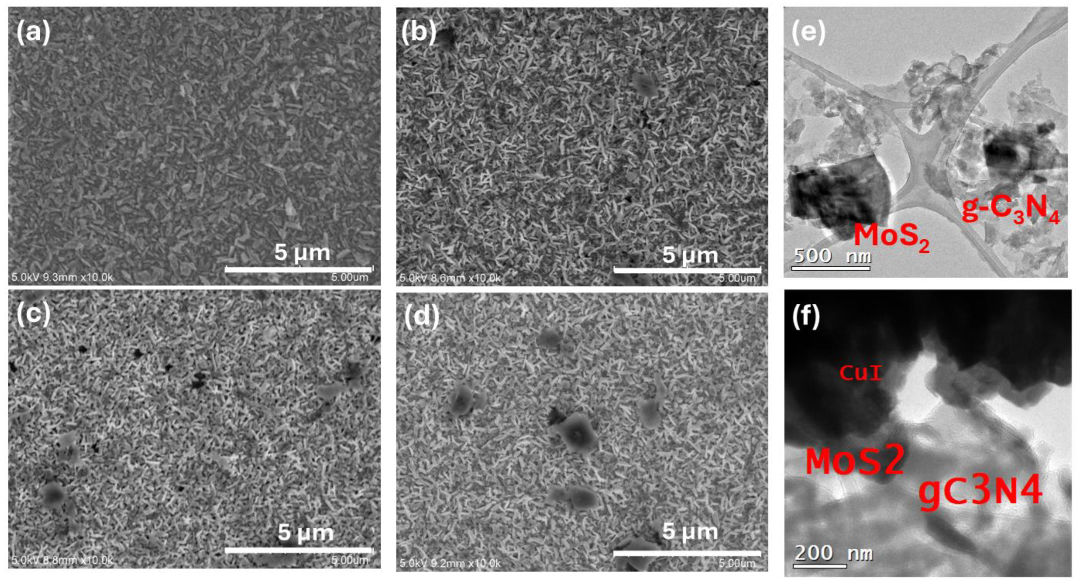 Photochem 05 00009 g008