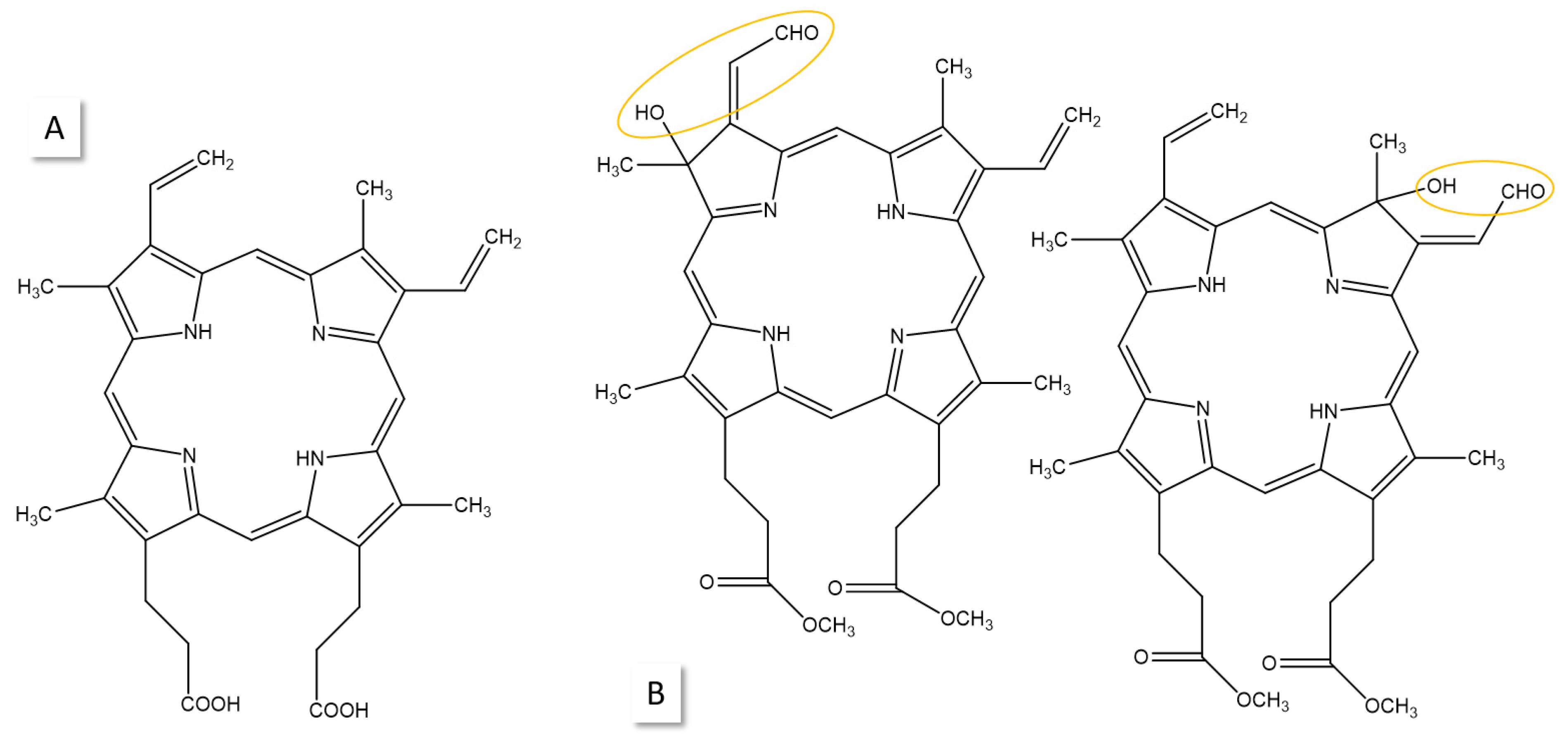 Photochem 05 00010 g002 Photochem 05 00010 g002