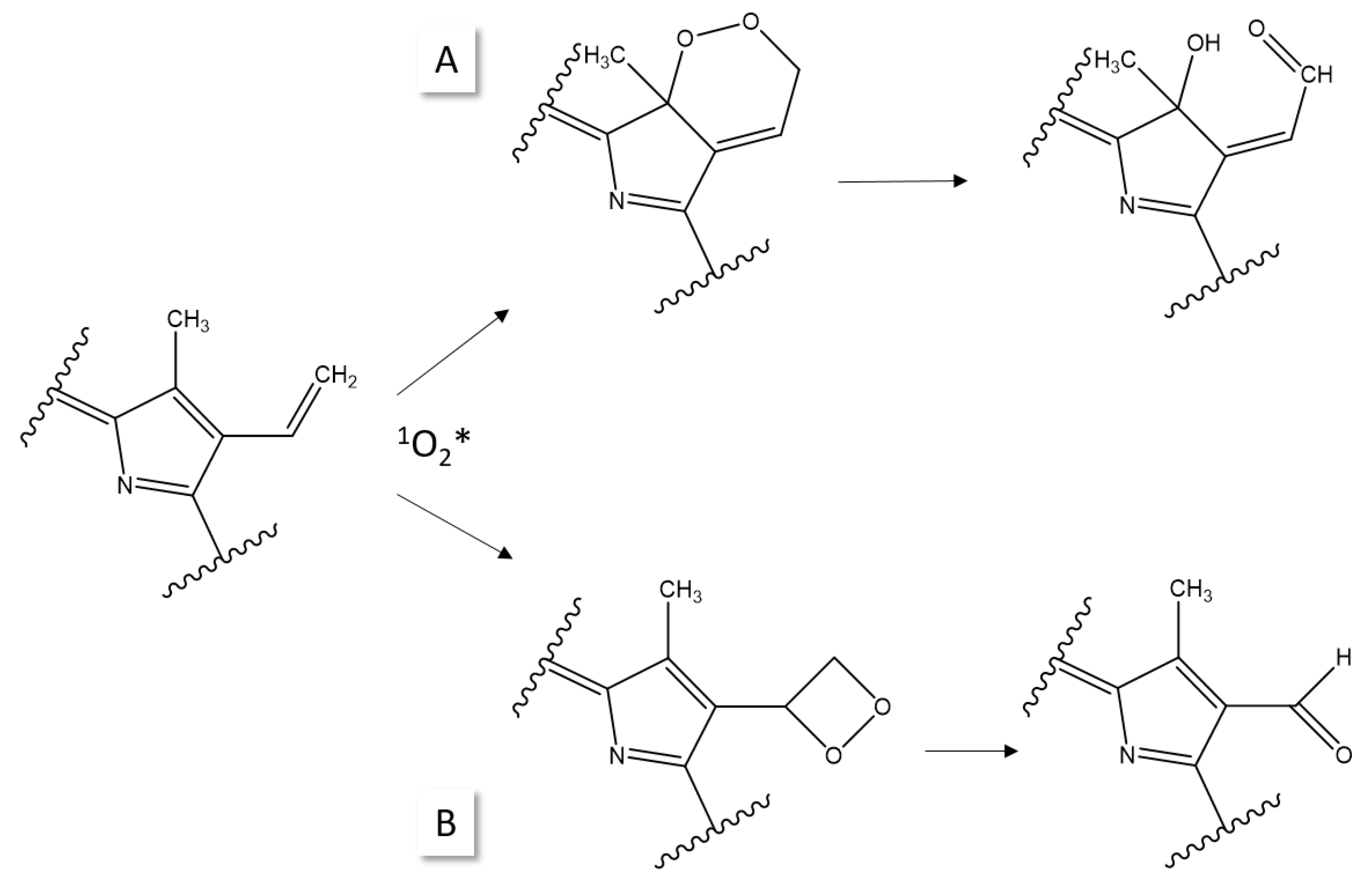 Photochem 05 00010 g004 Photochem 05 00010 g004