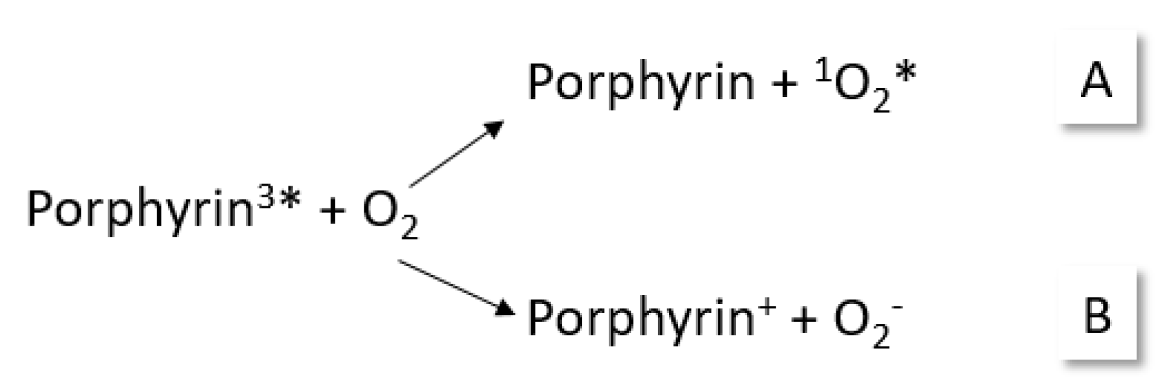 Photochem 05 00010 g005 Photochem 05 00010 g005