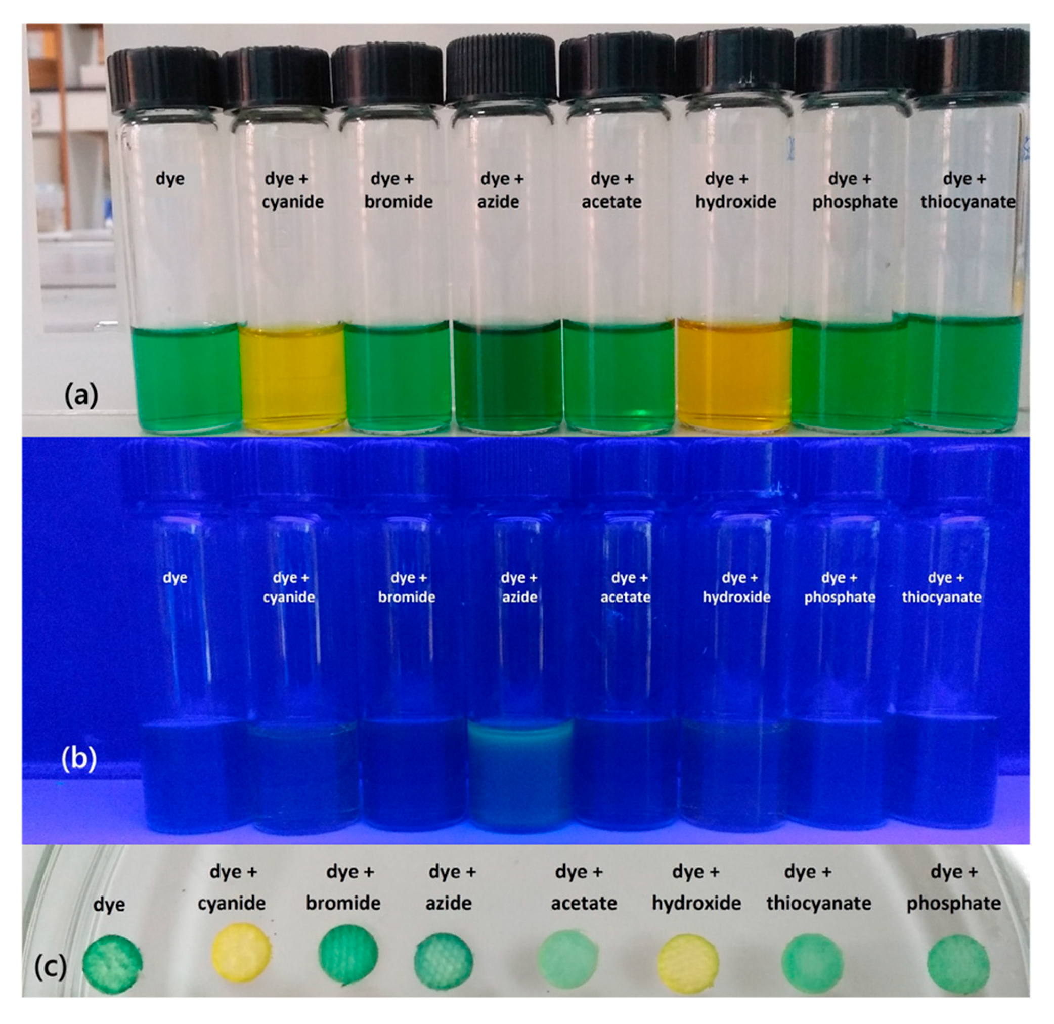 Photochem 05 00012 g001