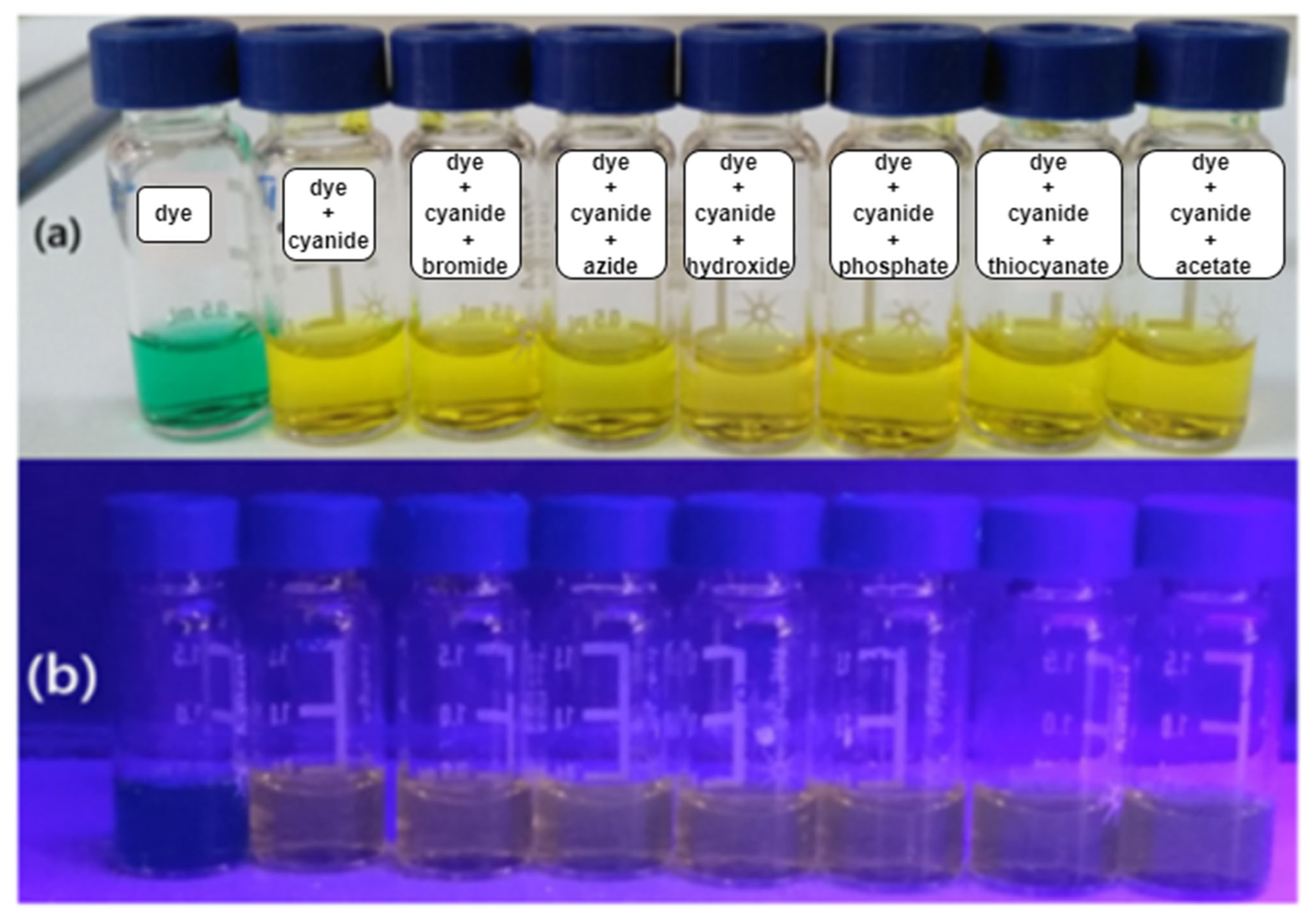 Photochem 05 00012 g008