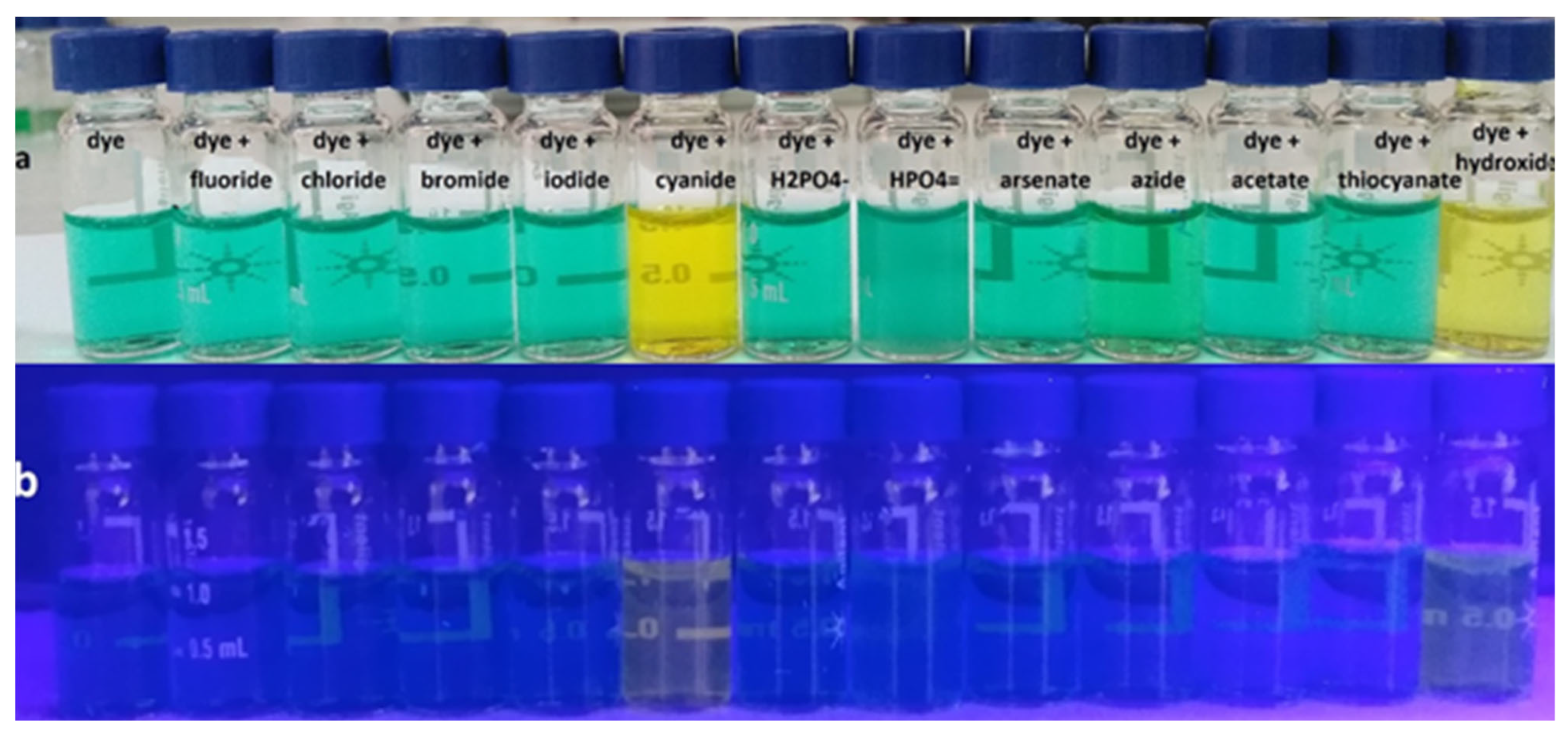 Photochem 05 00012 g009