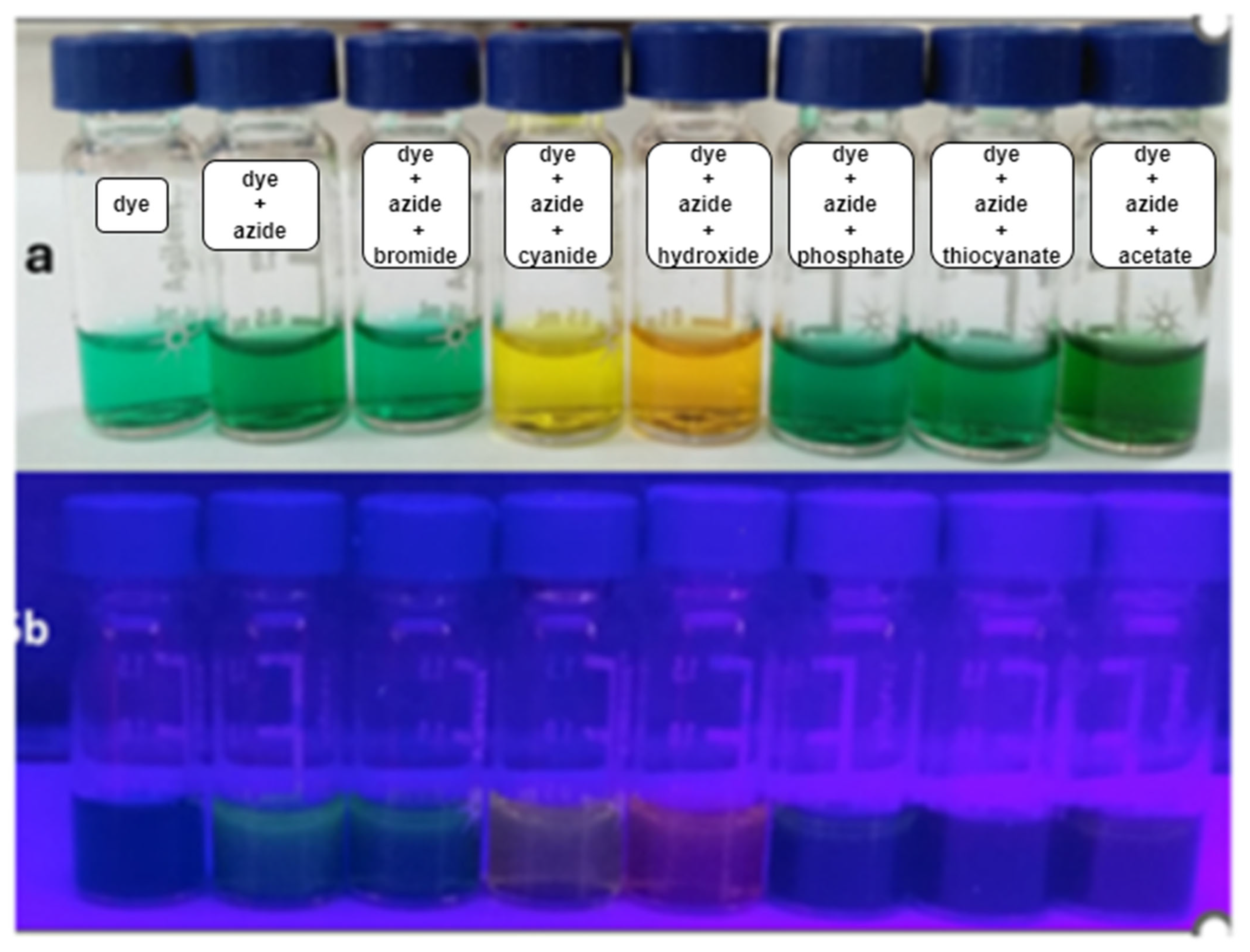 Photochem 05 00012 g015