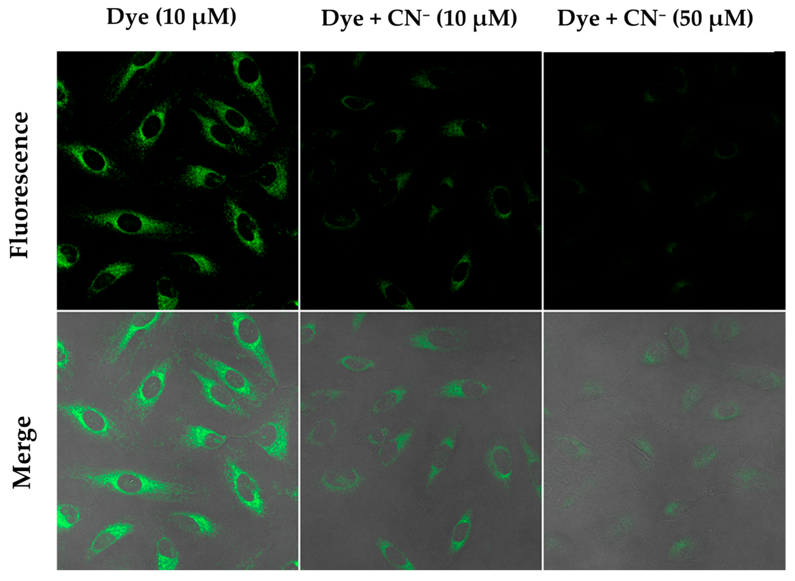 Photochem 05 00012 g018