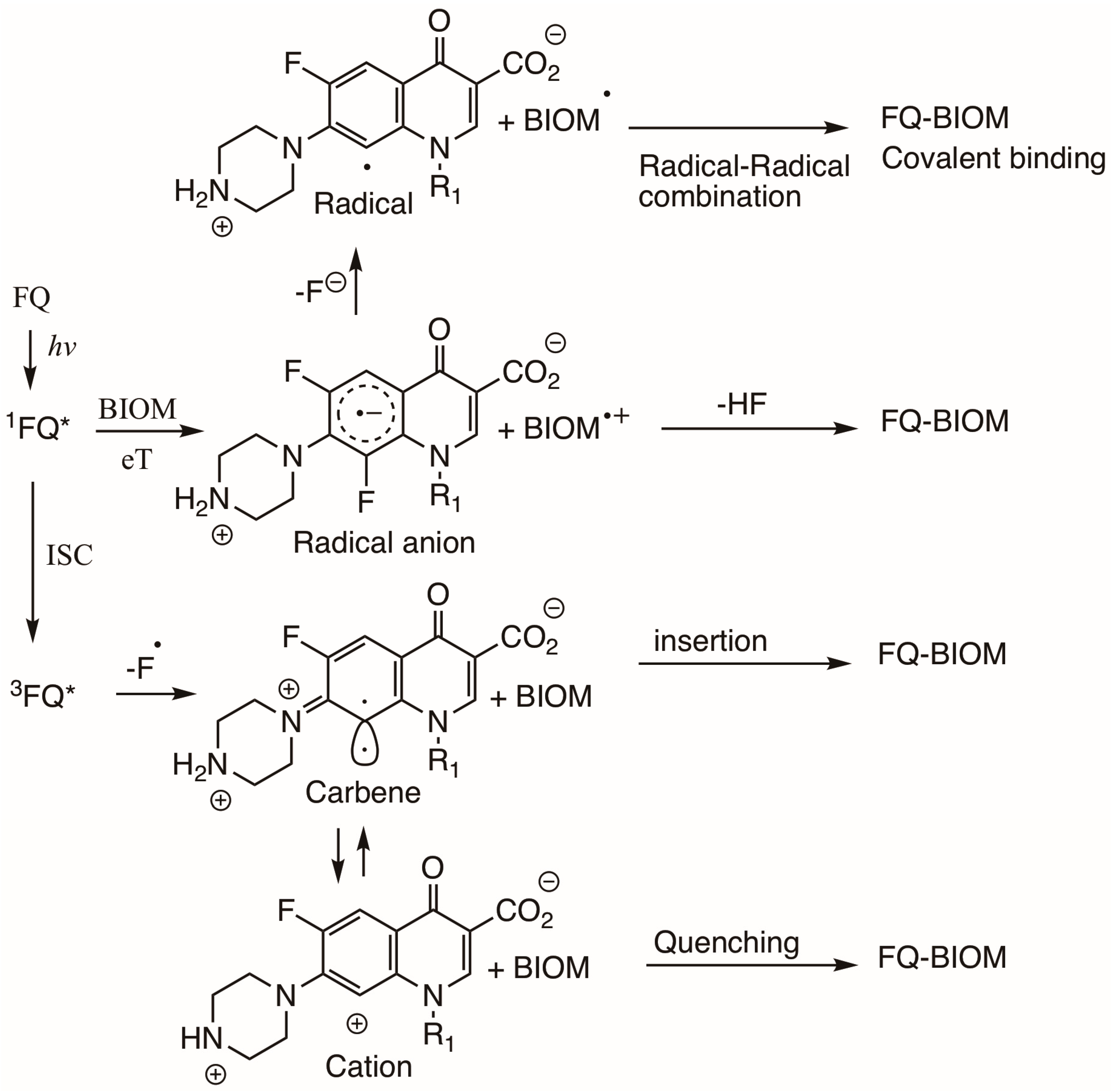 Photochem 05 00017 sch016 Photochem 05 00017 sch016