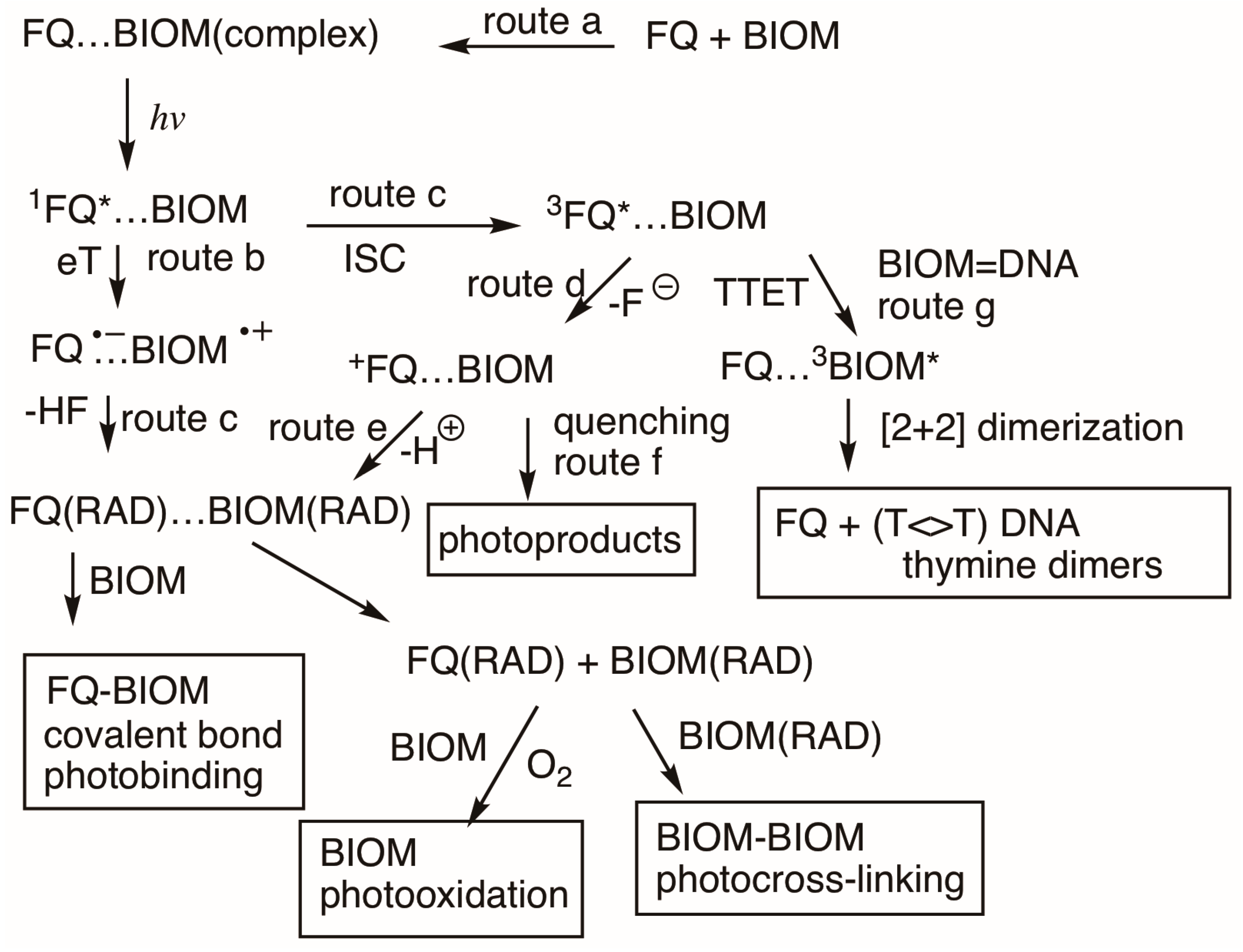 Photochem 05 00017 sch017 Photochem 05 00017 sch017