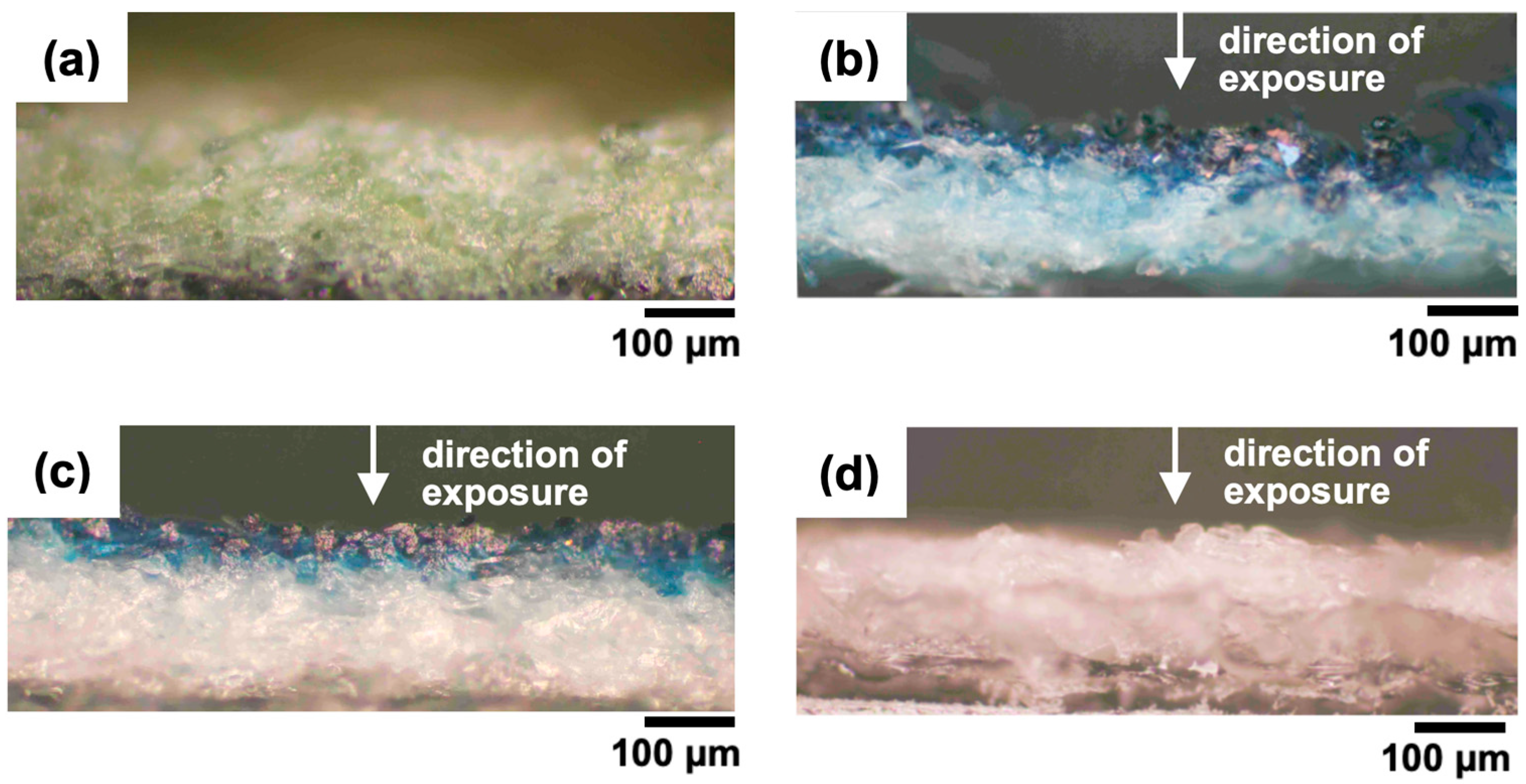 Photochem 05 00018 g002