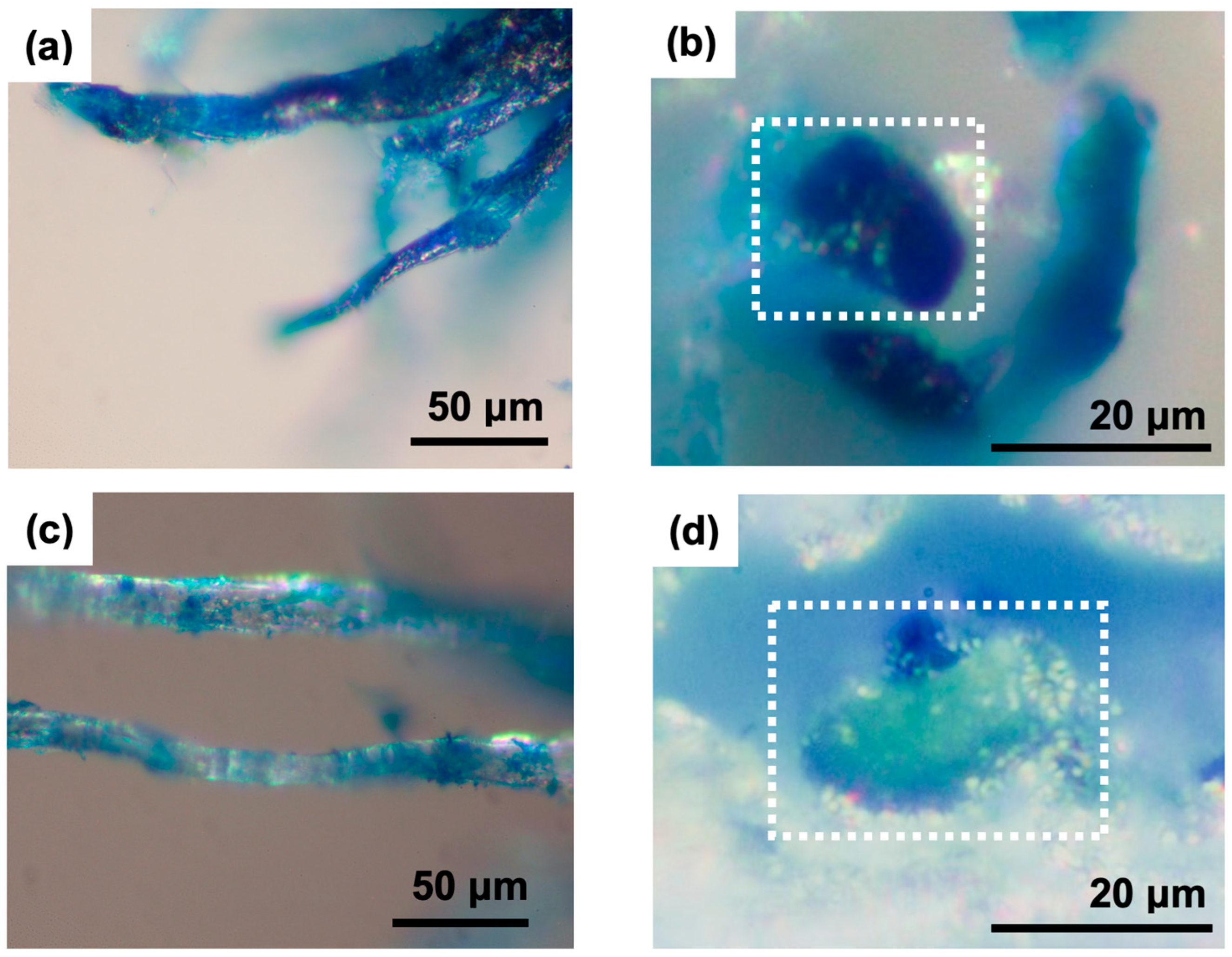 Photochem 05 00018 g004