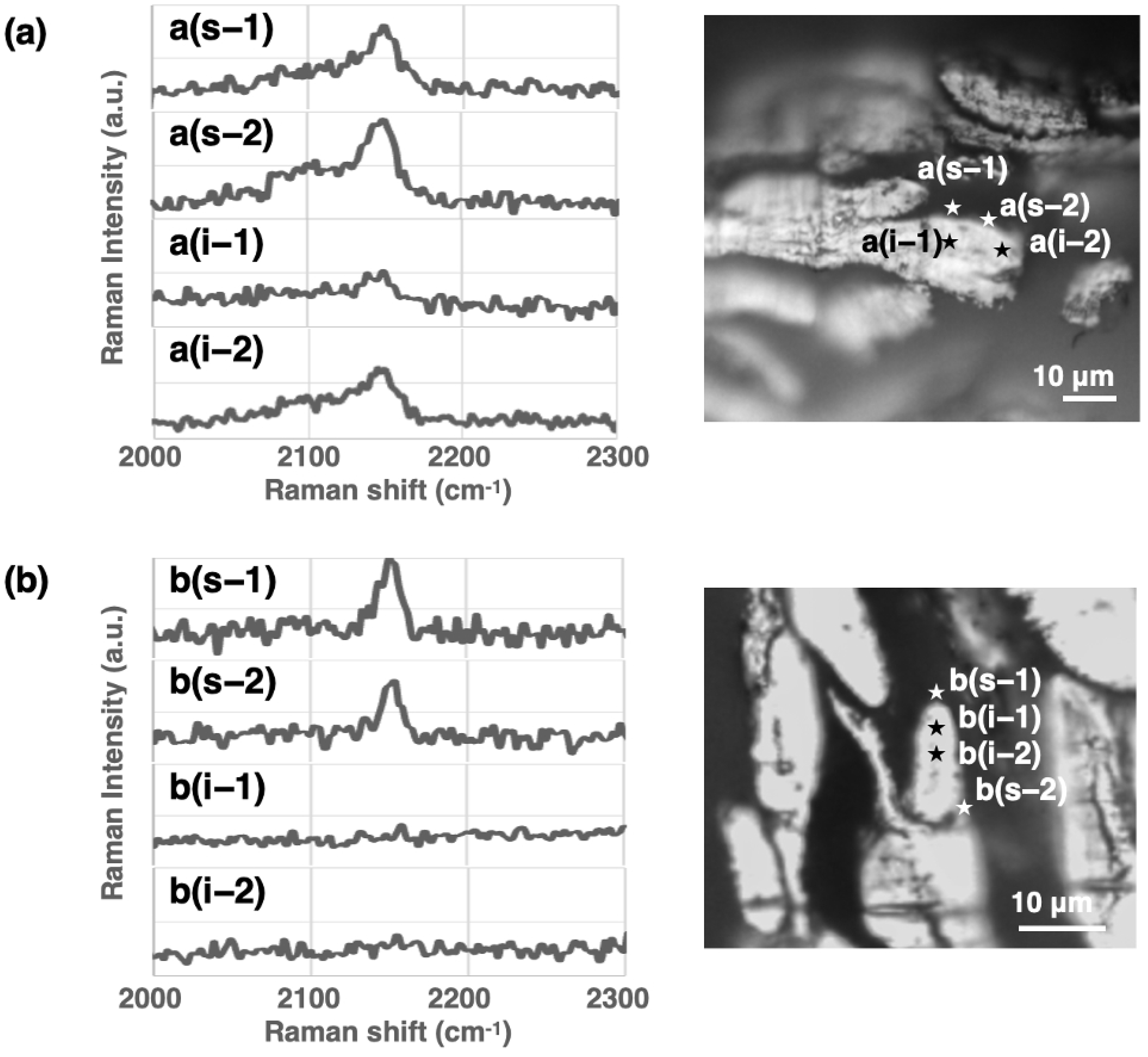Photochem 05 00018 g005