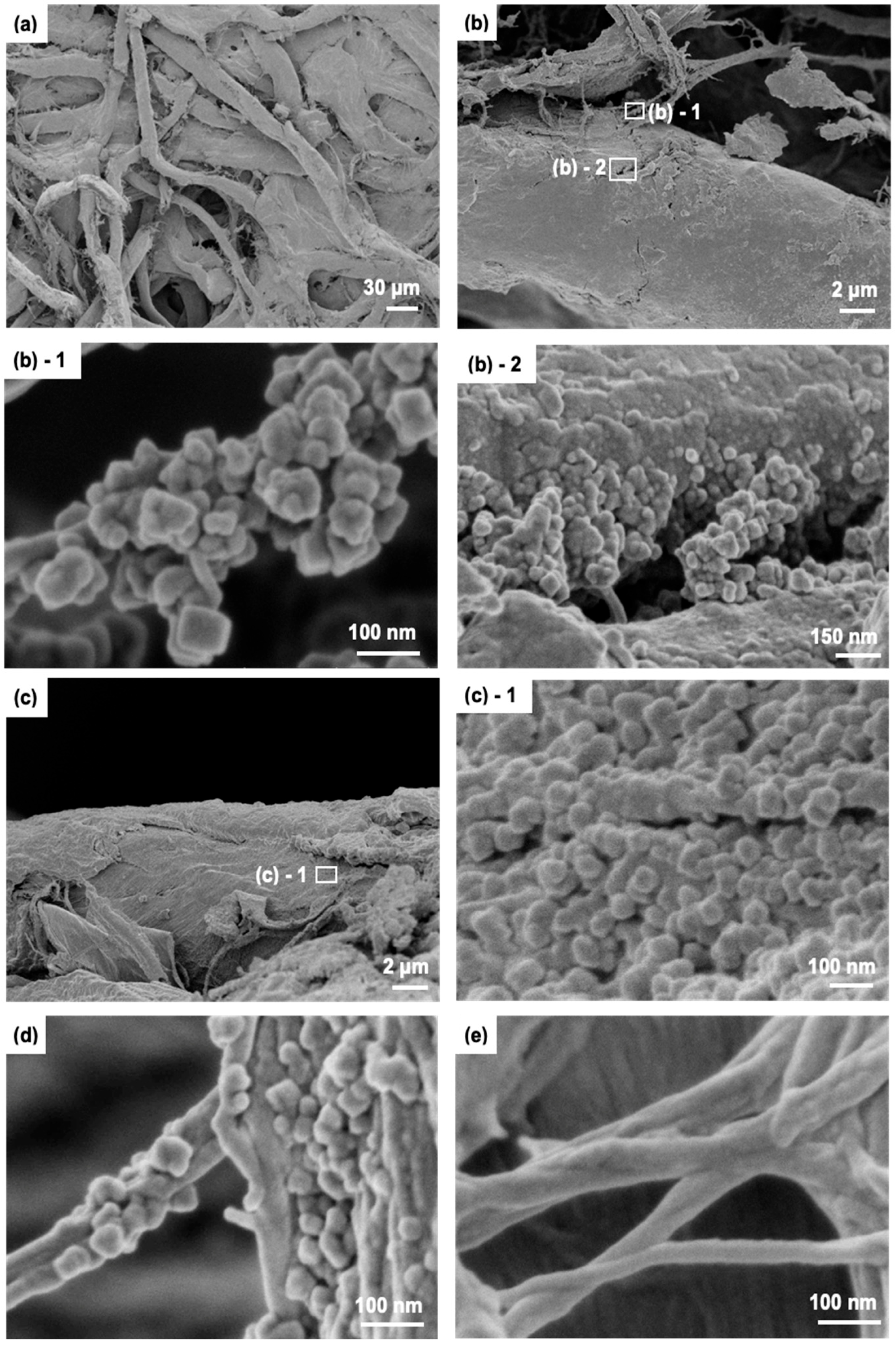 Photochem 05 00018 g006