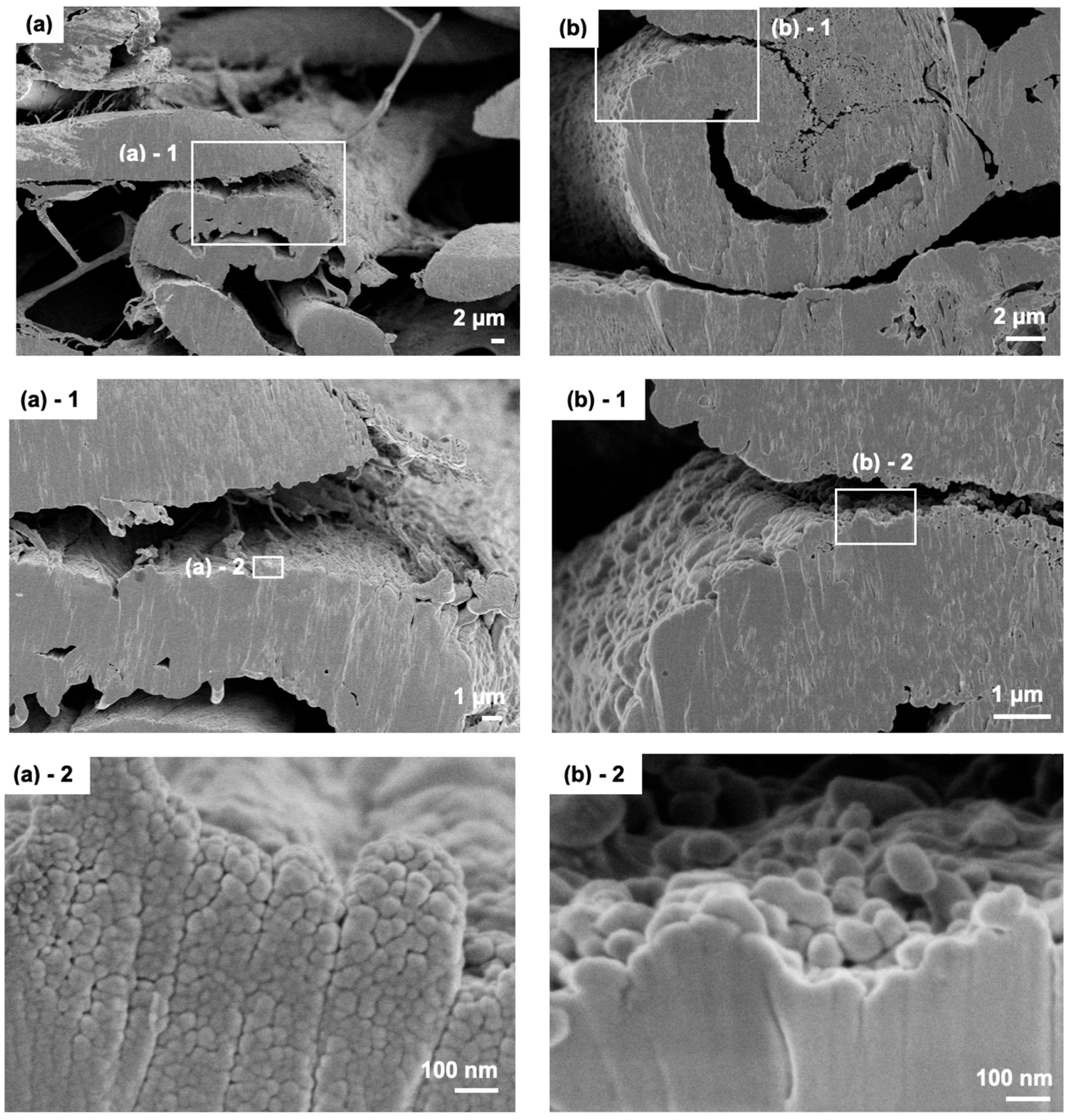 Photochem 05 00018 g008