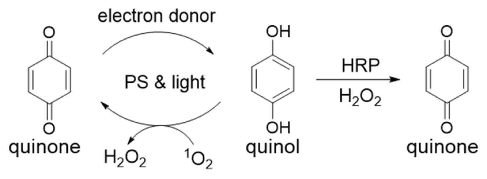 Photochem 05 00019 sch003