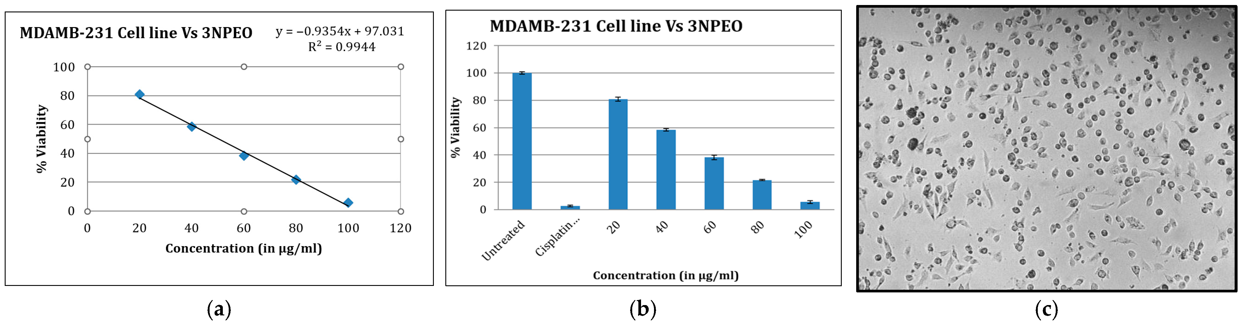 Photochem 05 00020 g018