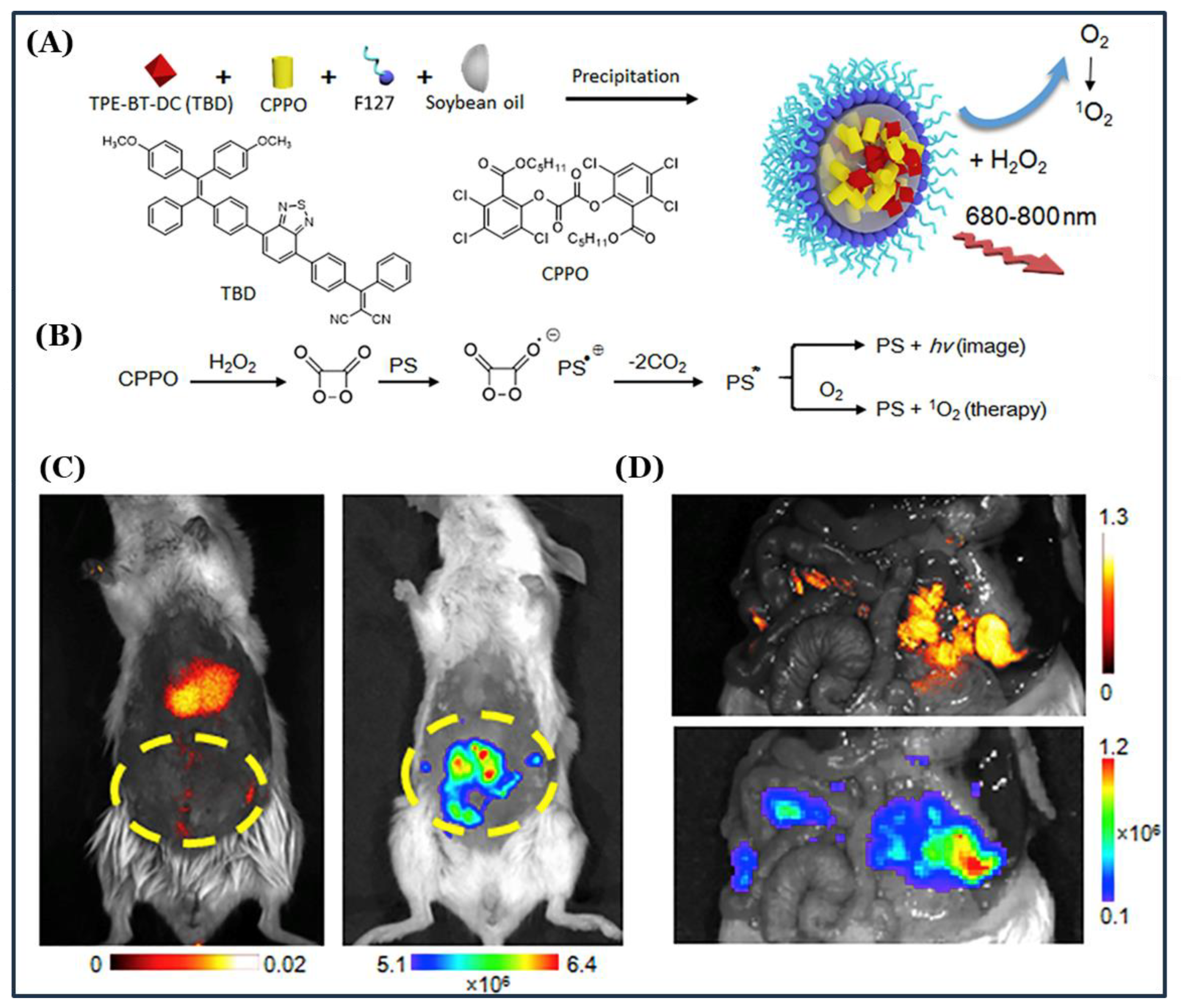 Photochem 05 00023 g005