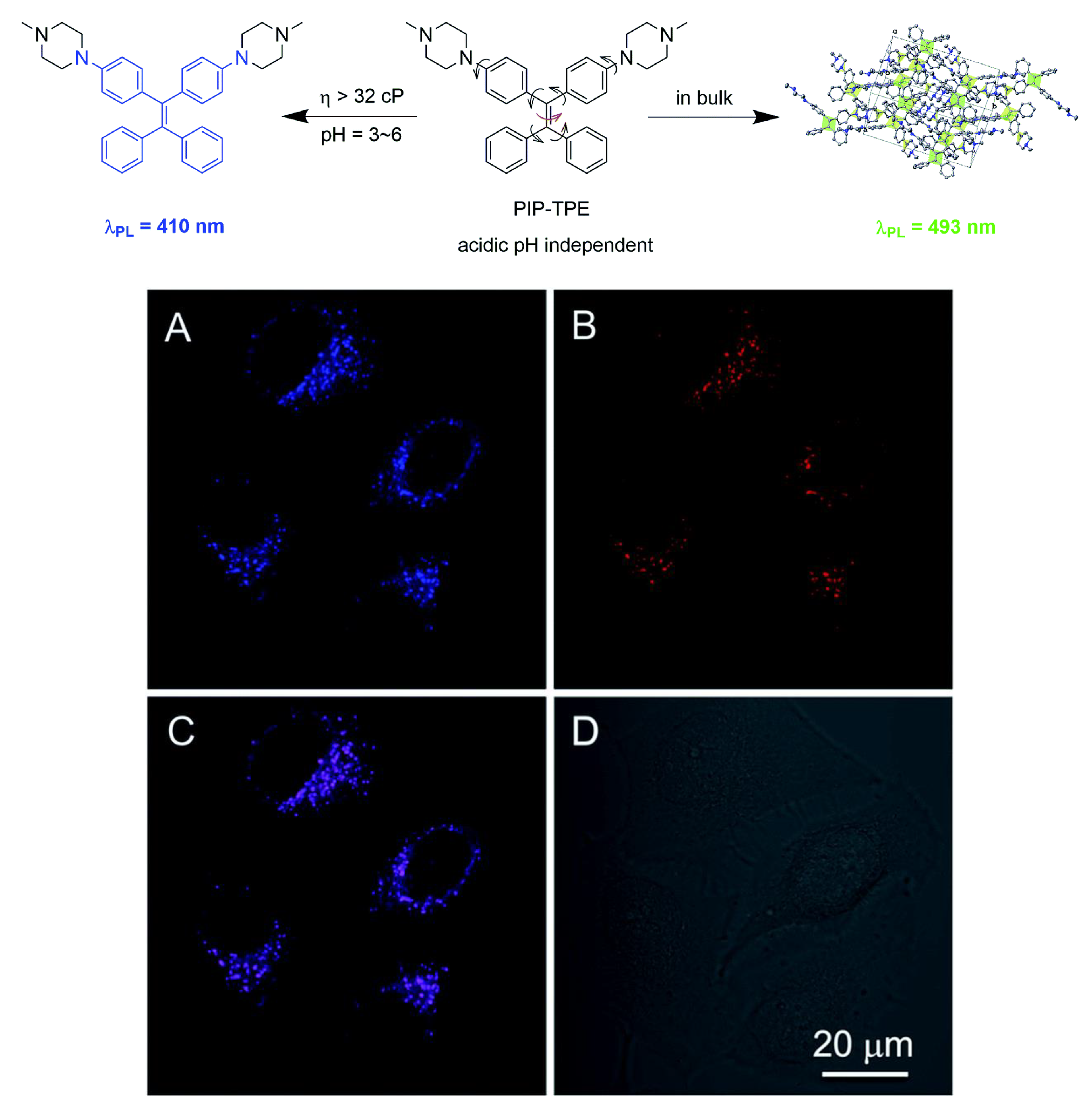 Photochem 05 00023 g008